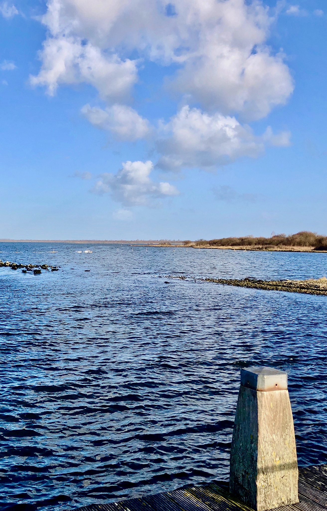润色以下文字让它更通顺让它更有学术范儿禁止出现 你 我 你们 我们 这几个词也不要使用疑问句这封面儿是什么呢？它是上面儿有一个那种嗯透明的那种软的那种皮这种透明性是跟整本儿书的主题是有关的因为表达的手机时代的数字摄影的东西嘛是有种透明感的啊。如果我们把这个皮去掉我们能看到一个充满像素颗粒的一张照片。这是本书中间位置的一张照片被用来作为封面图。