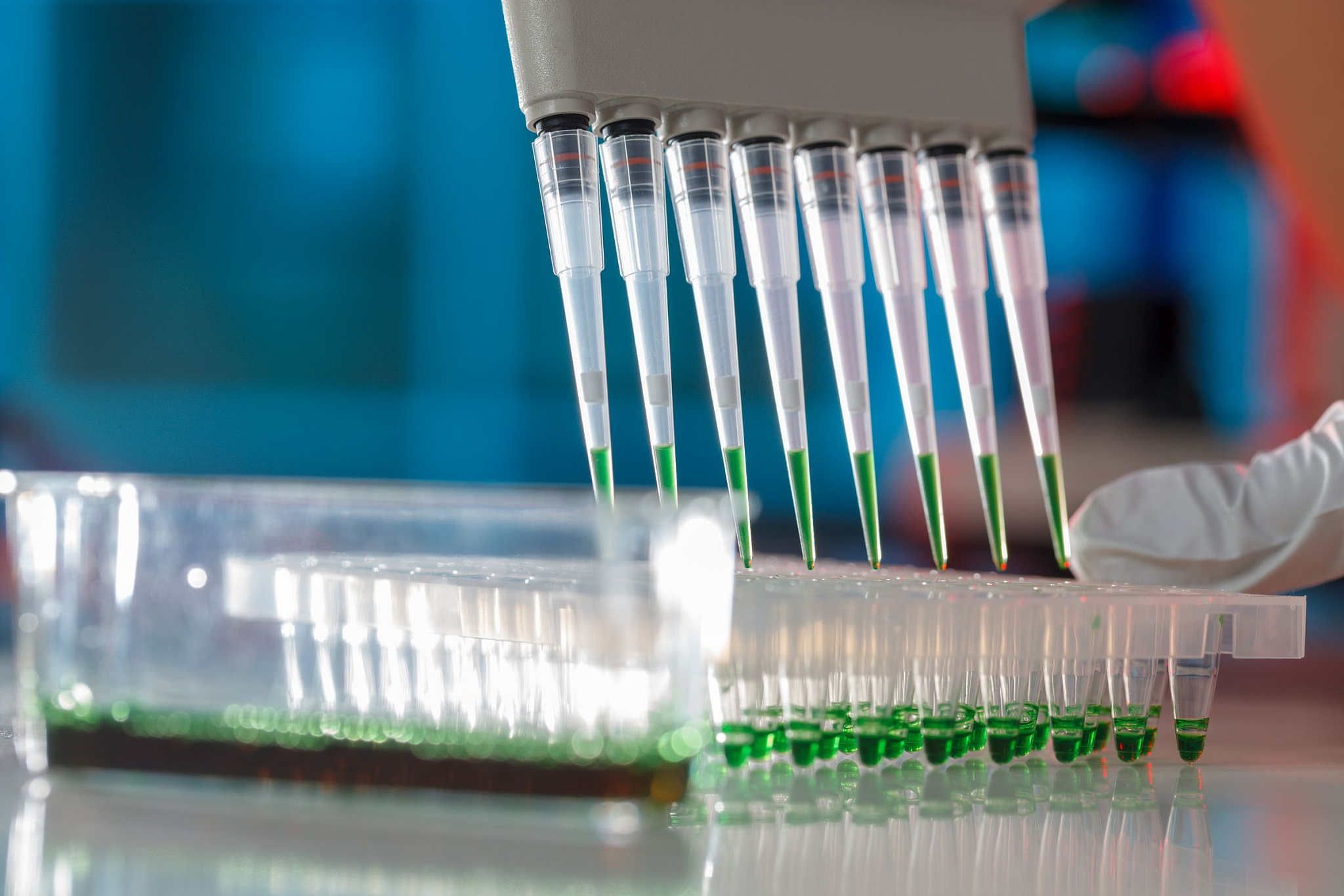 蛋白质电泳中Reducing reagent与Loading Buffer的区别