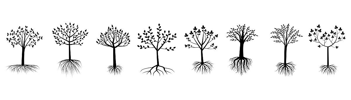 广州城市职业技工学校有高铁乘务专业吗