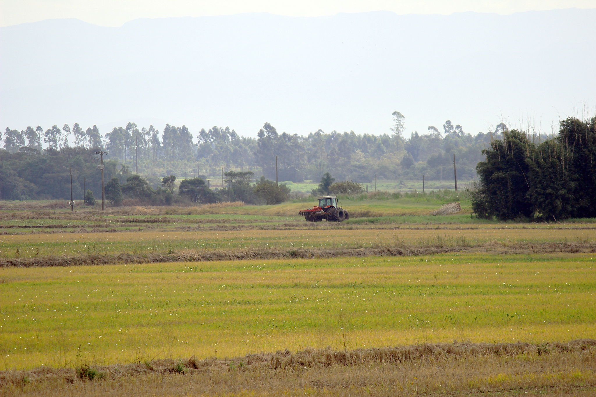 广西女生中专读什么专业好？2021年热门专业推荐
