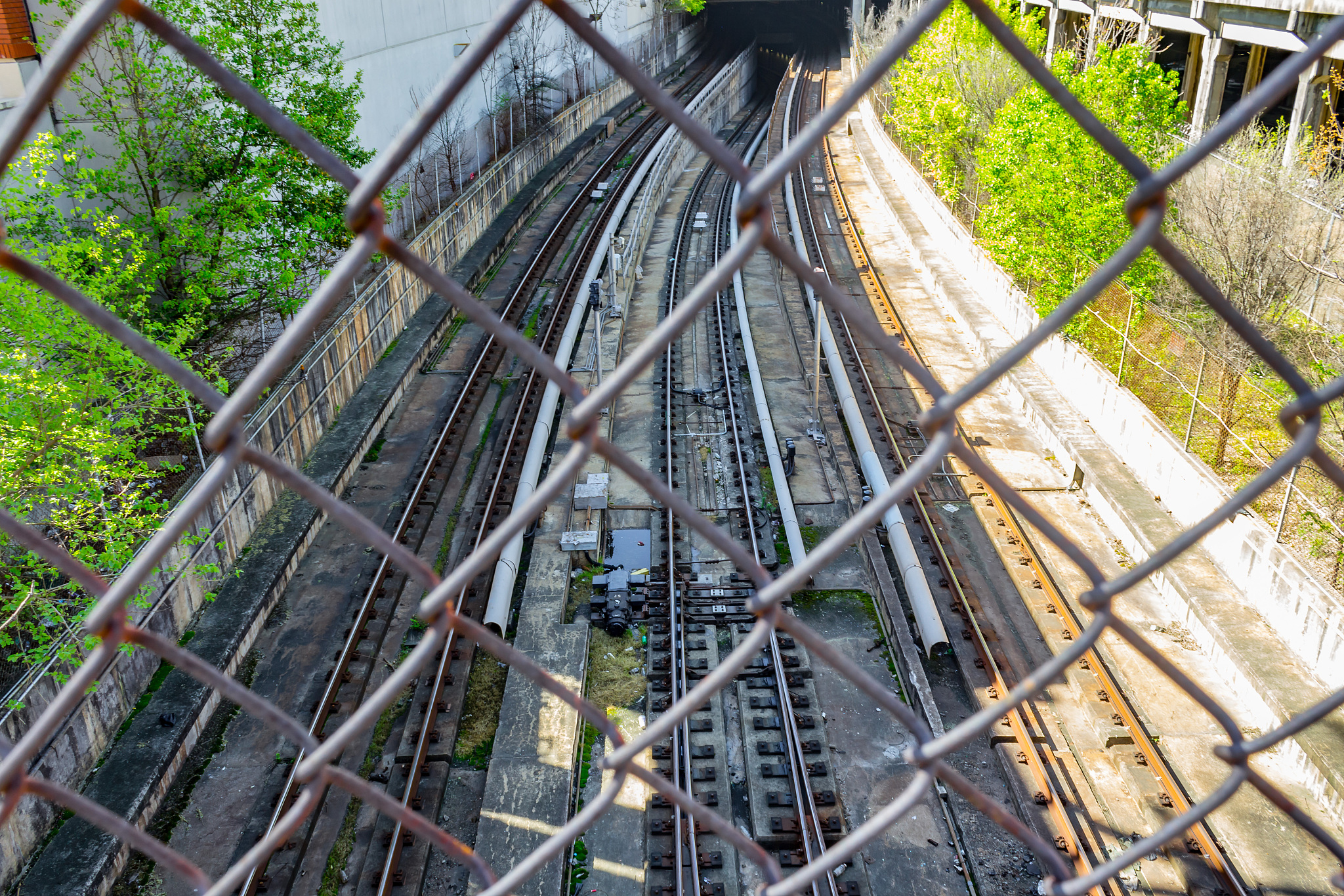 过山车安全揭秘：为什么它不会脱轨？