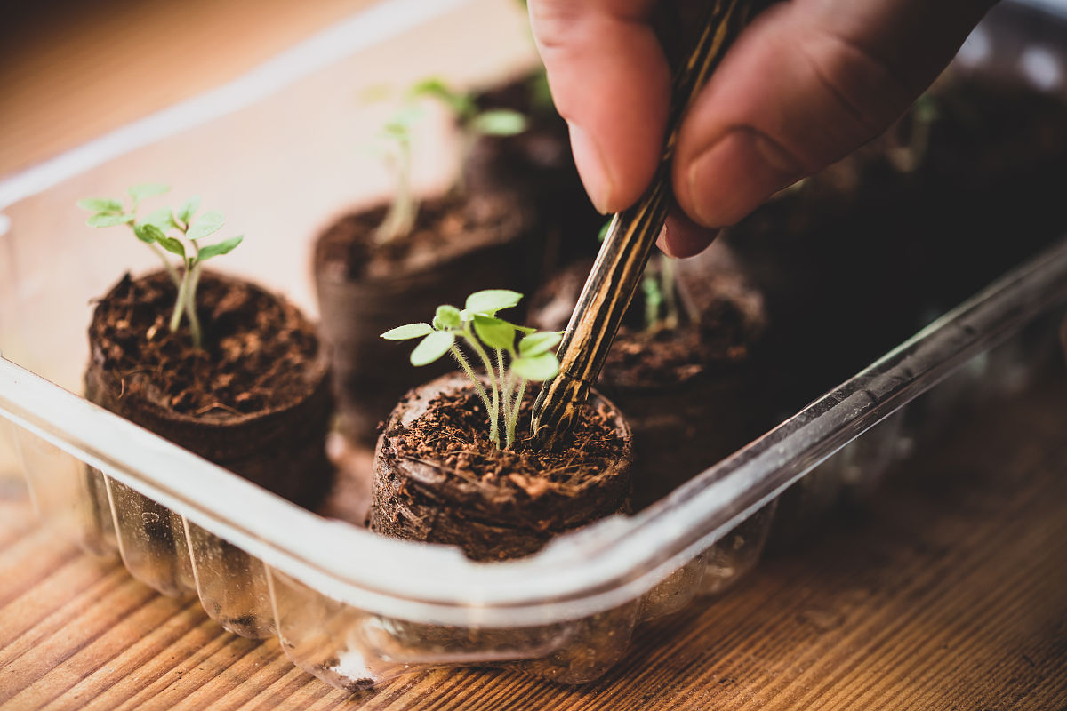 云南林业技工学校2022年招生简章