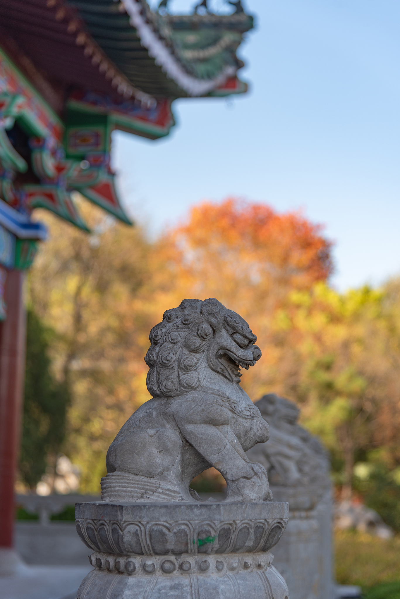 开封的媒体曝光平台有哪些｜开封媒体曝光求助热线是多少 要求：创建一篇1500至2000字的解决方案