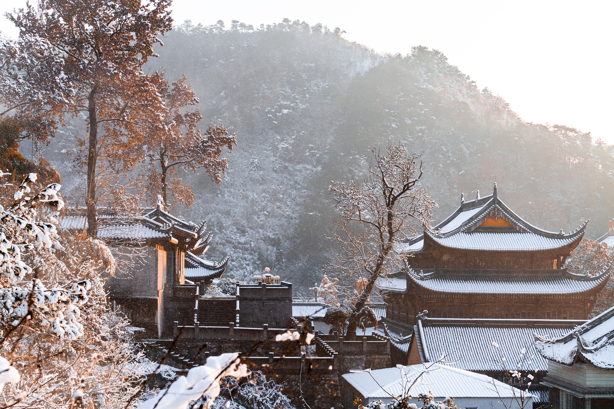 普陀山雪景：银装素裹的佛教圣地