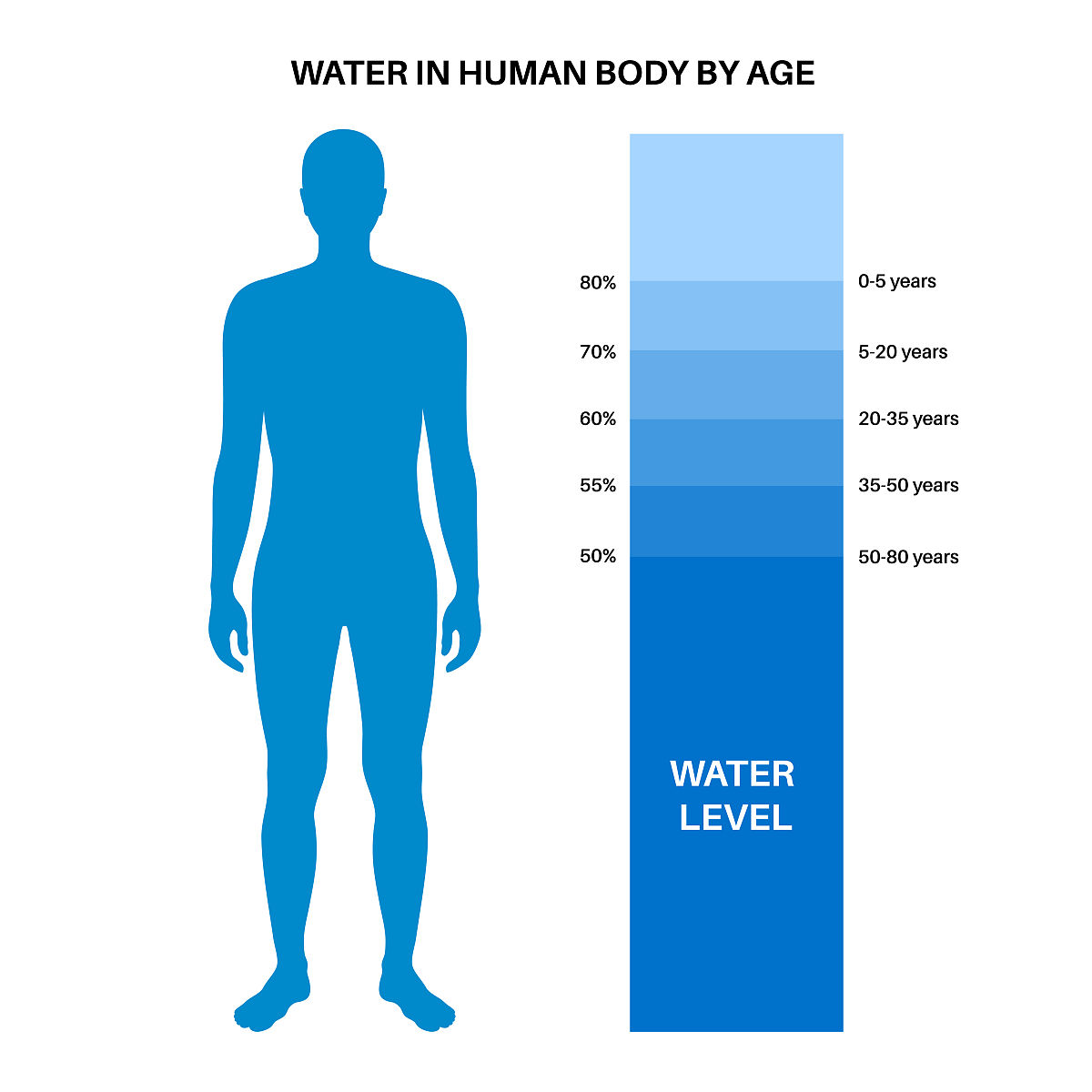 人体水分含量：多少比例才健康？
