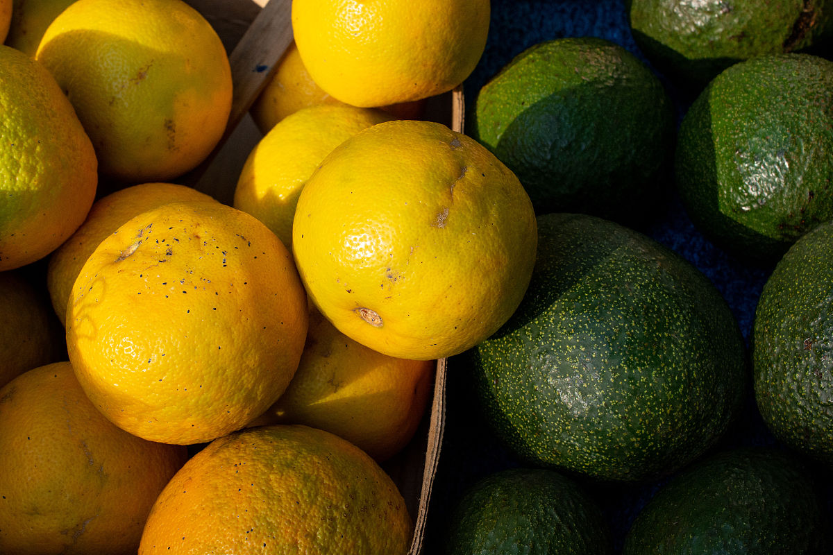 四川省粮食经济学校招生办联系电话、地址