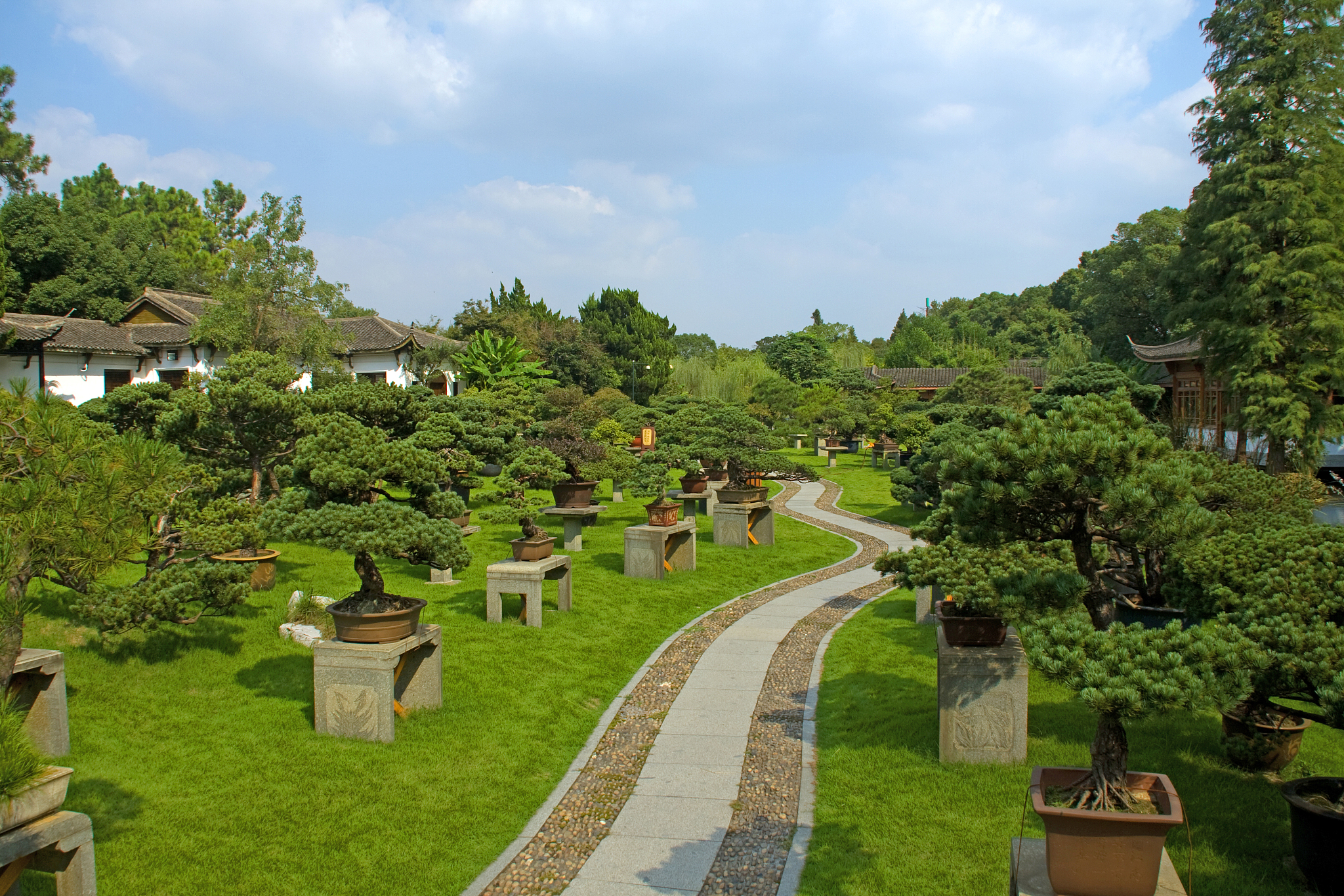 杭州旅游职业学校园林技术专业好不好会涉及哪些课程