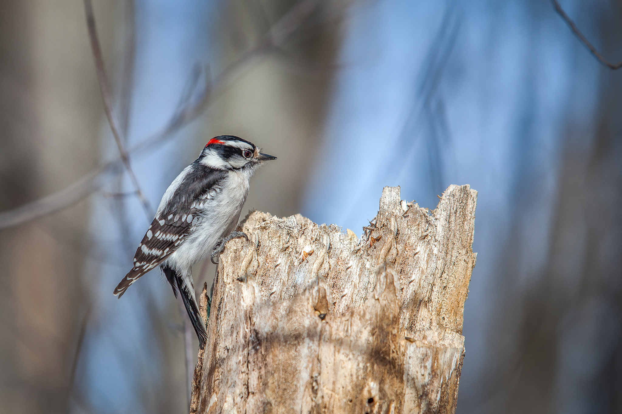 陕西北方工程技术学校2022年招生简章 | 高职教育首选