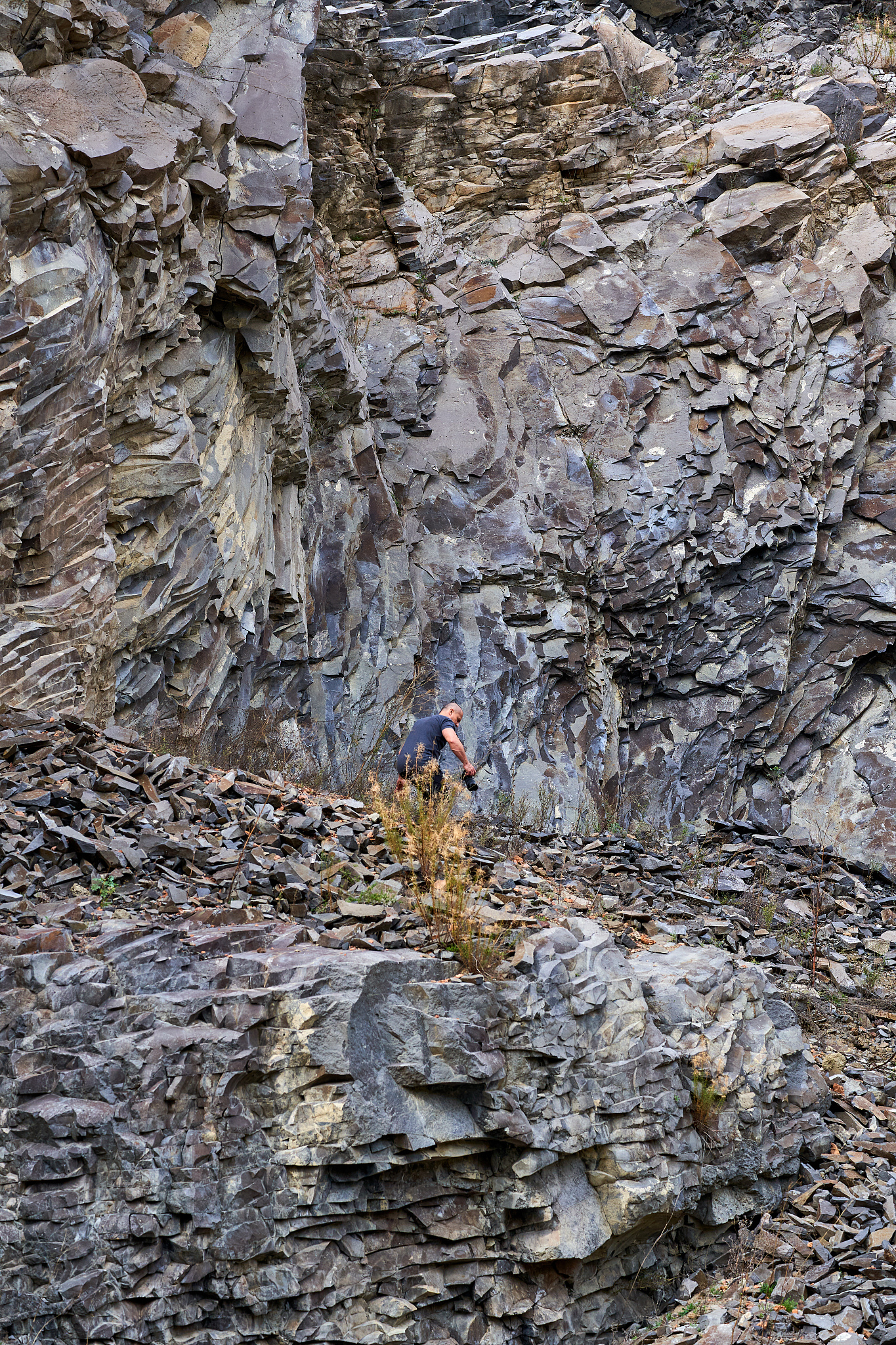 Geological Magazine: 出版商, 出版周期, 创刊年份, 领域地位