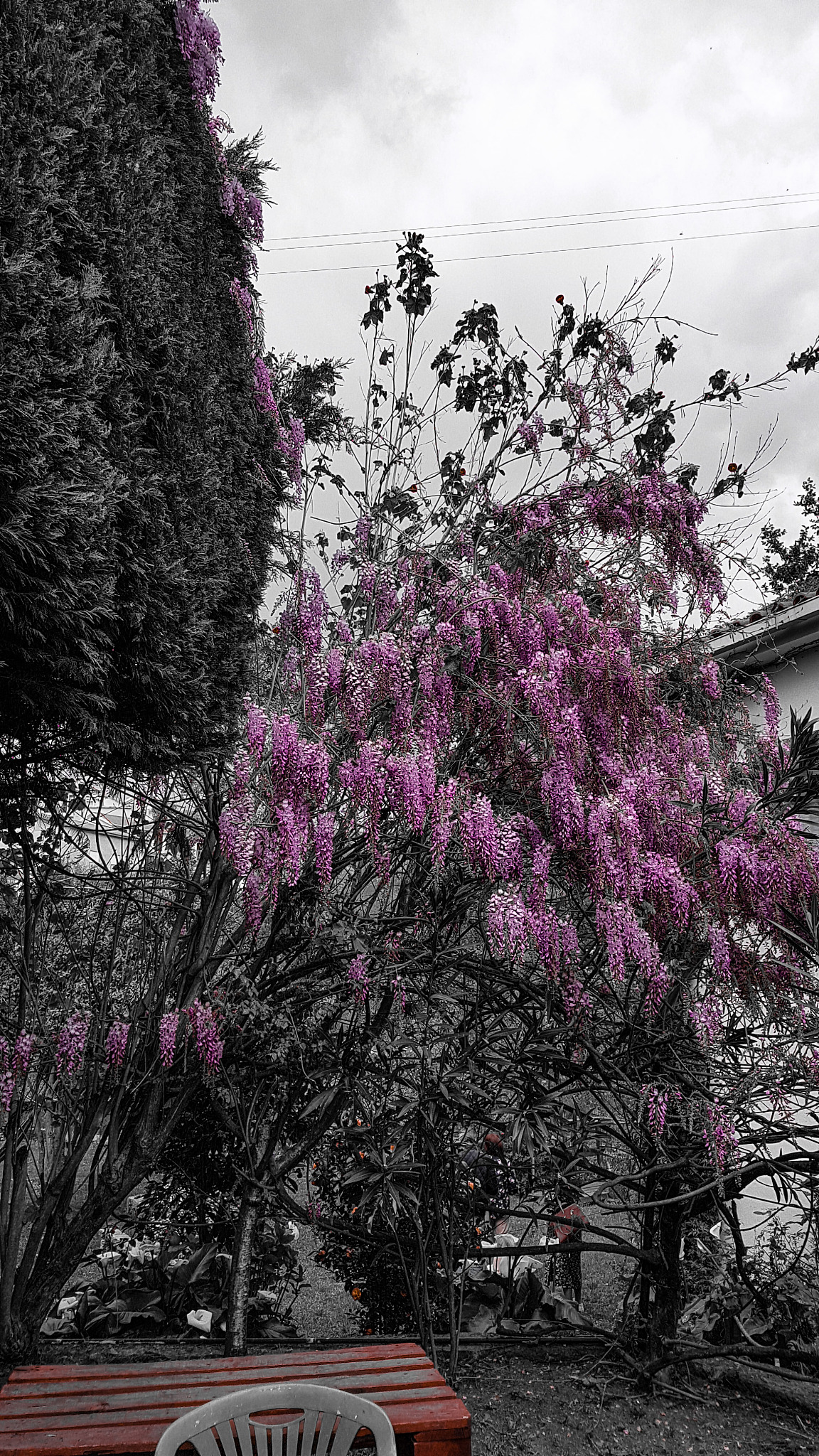 醒来：一场装修竞赛带来的戏剧人生