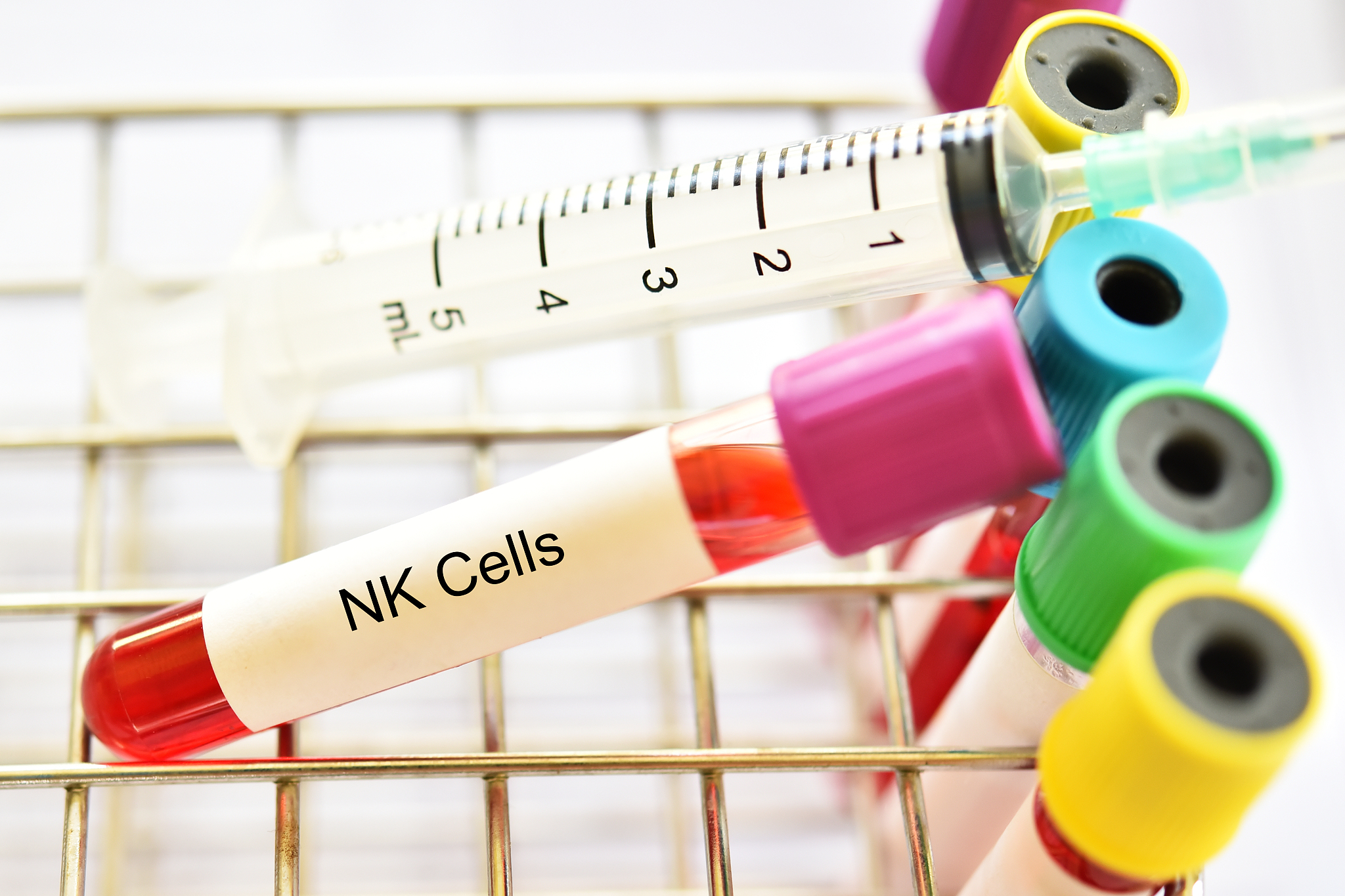 用血液病专业术语简明翻译The B220 isoform of CD45 a pan B-cell marker in mice is expressed by only a subset of human B cells that do not express the memory B-cell marker CD27 suggesting that it is a differentiatio