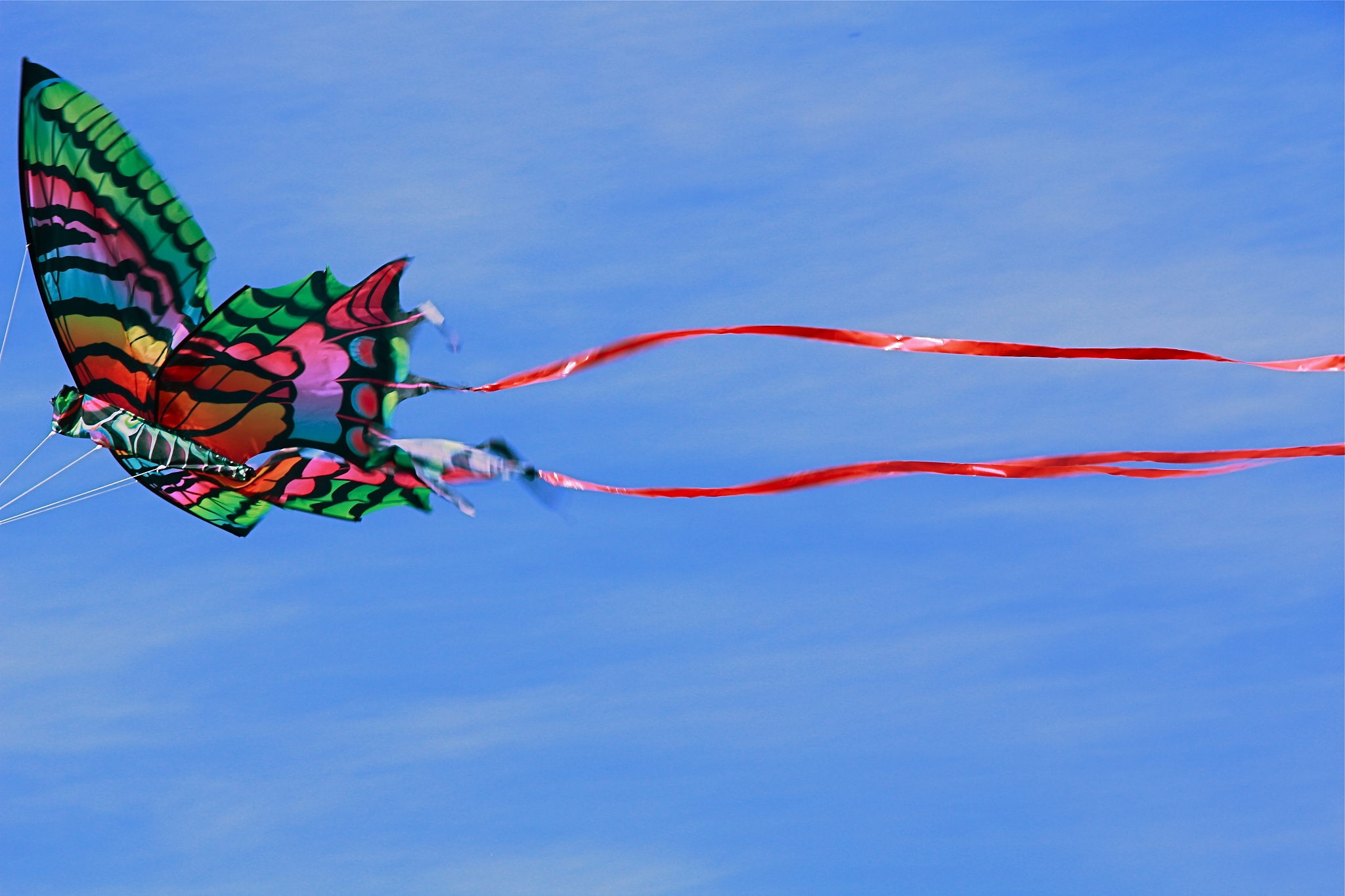 go ... fly a kite