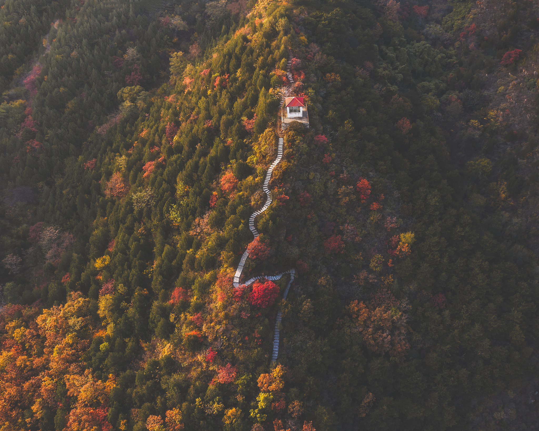 700字初中的记叙文主题是关于在小学至初三期间爸爸开车带着爷爷、奶奶、妈妈和我去北京西北郊的百望山森林公园爬了百望山又名望儿山相传北宋杨六郎与辽兵在此山下鏖战佘太君登山观阵助威此山因而得名这里山不高秋天有红叶并发生了某件有意义的事情我从中要得到一些感悟与教育。