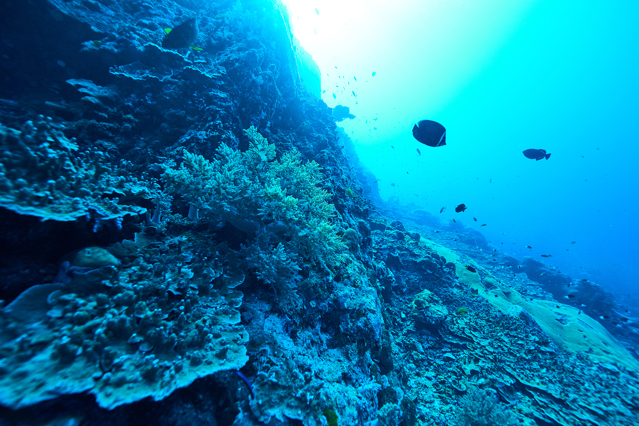 underwater