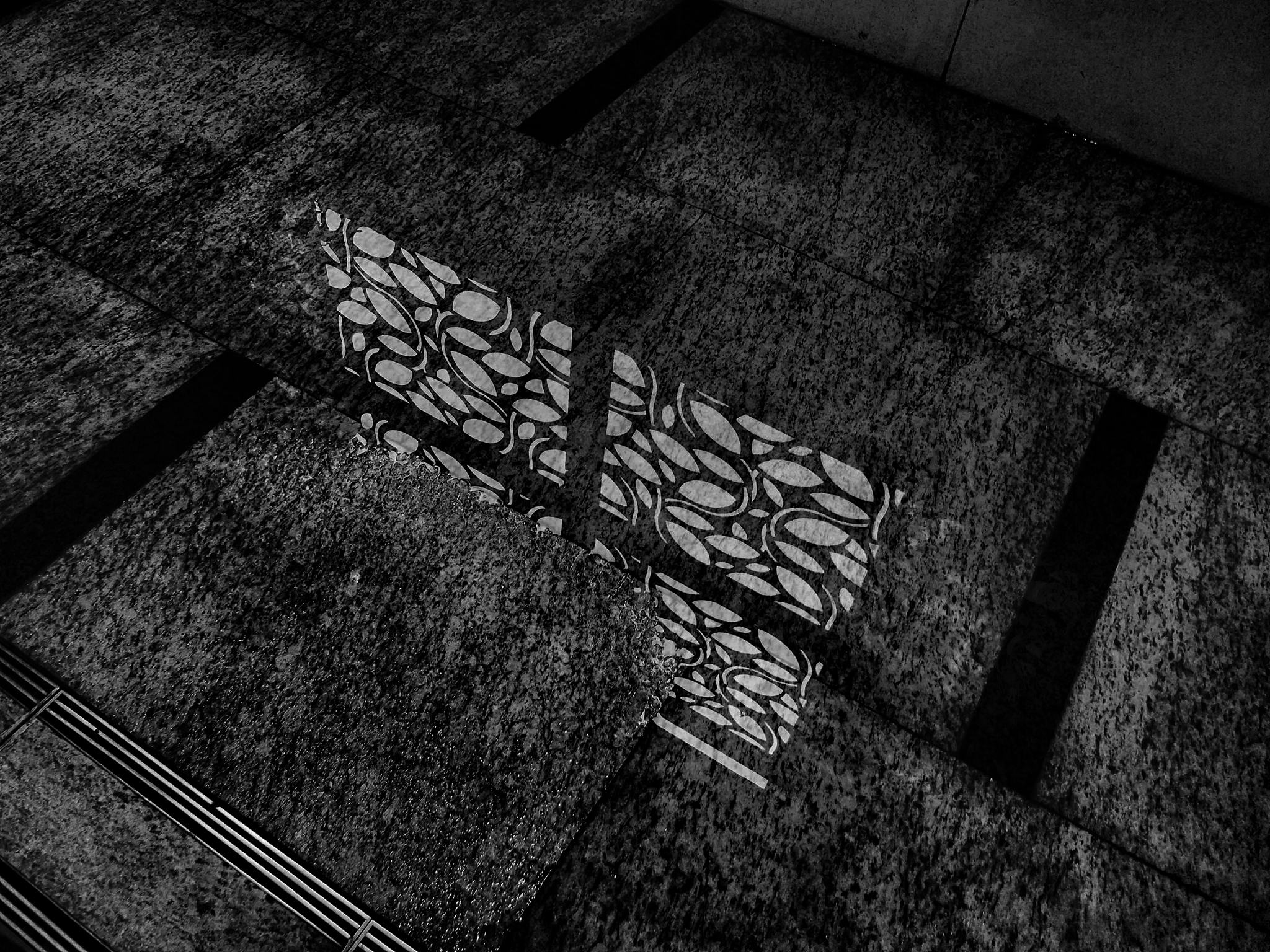 写20条关于摄影光影应用的中文标题