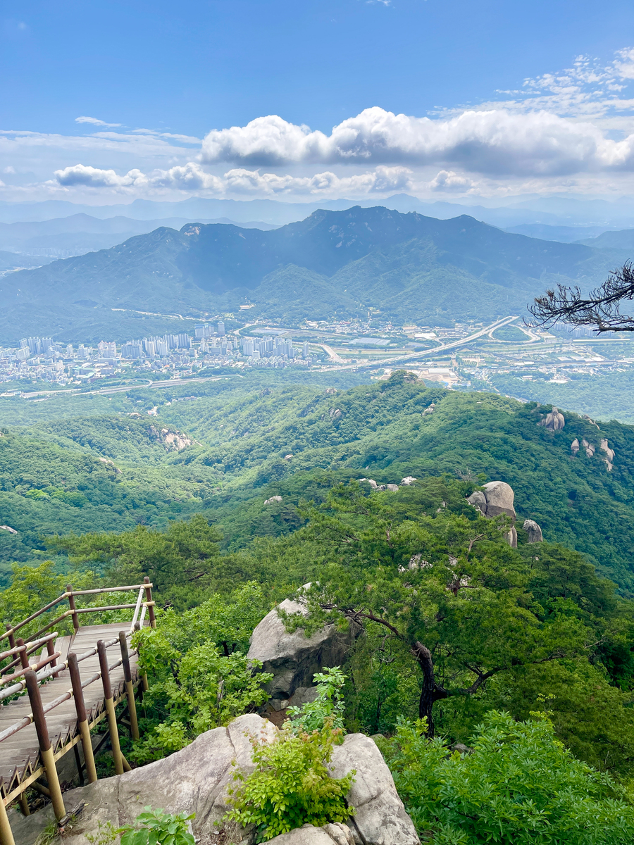 深圳梧桐山旅游攻略：路线、时间、景点、美食、注意事项 - 深圳旅游指南