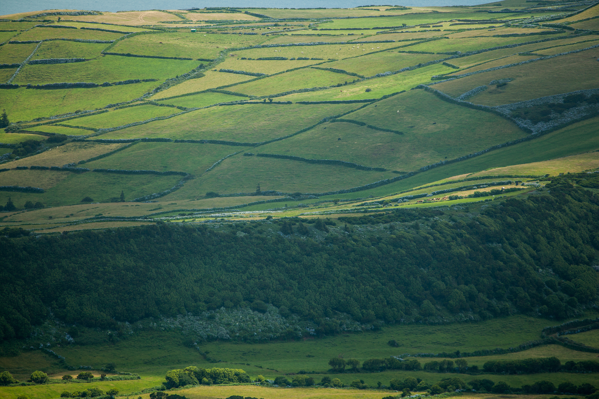 landscape on faial island