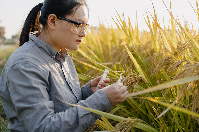 曲靖农业学校2019年五年一贯制大专招生报名网