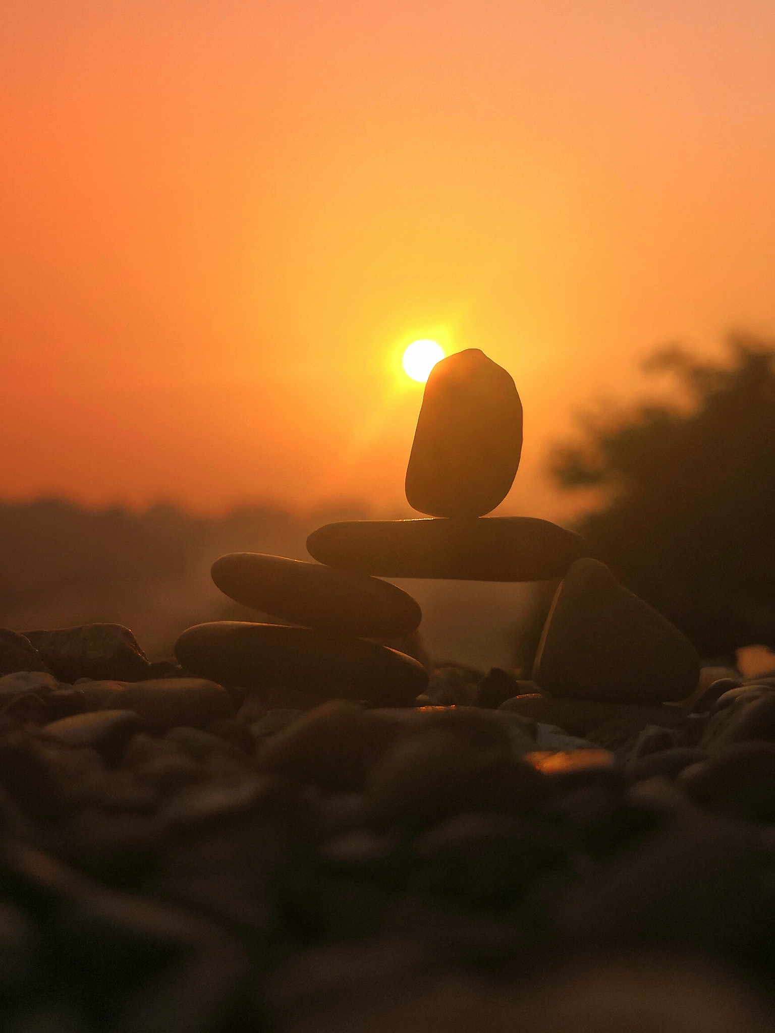 日落归山海山海藏深意没有人不迁憾只 是有人不喊疼 帮我用300字描述