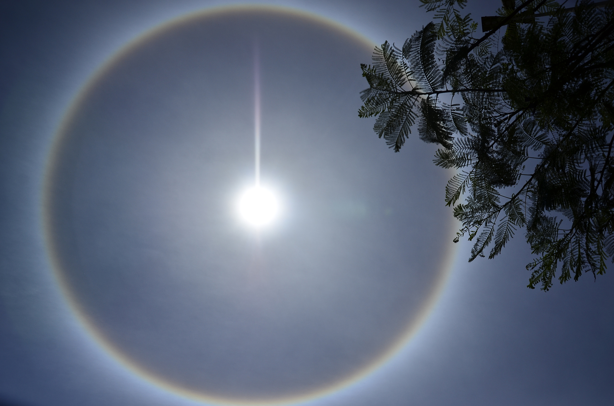 halo sol