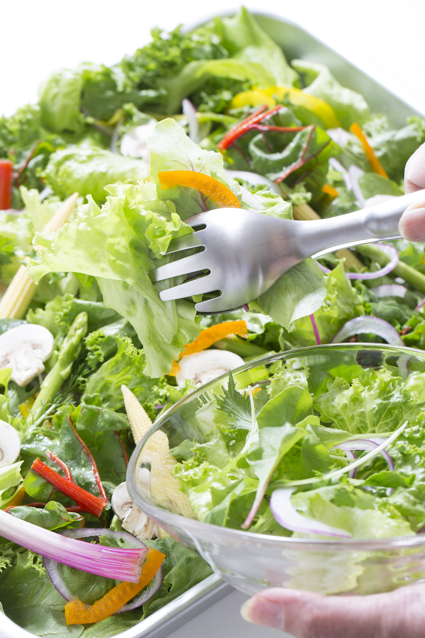 陕西科技大学食品质量与安全专业怎么样