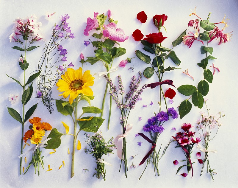 大学举办落花粘贴画活动策划案的背景