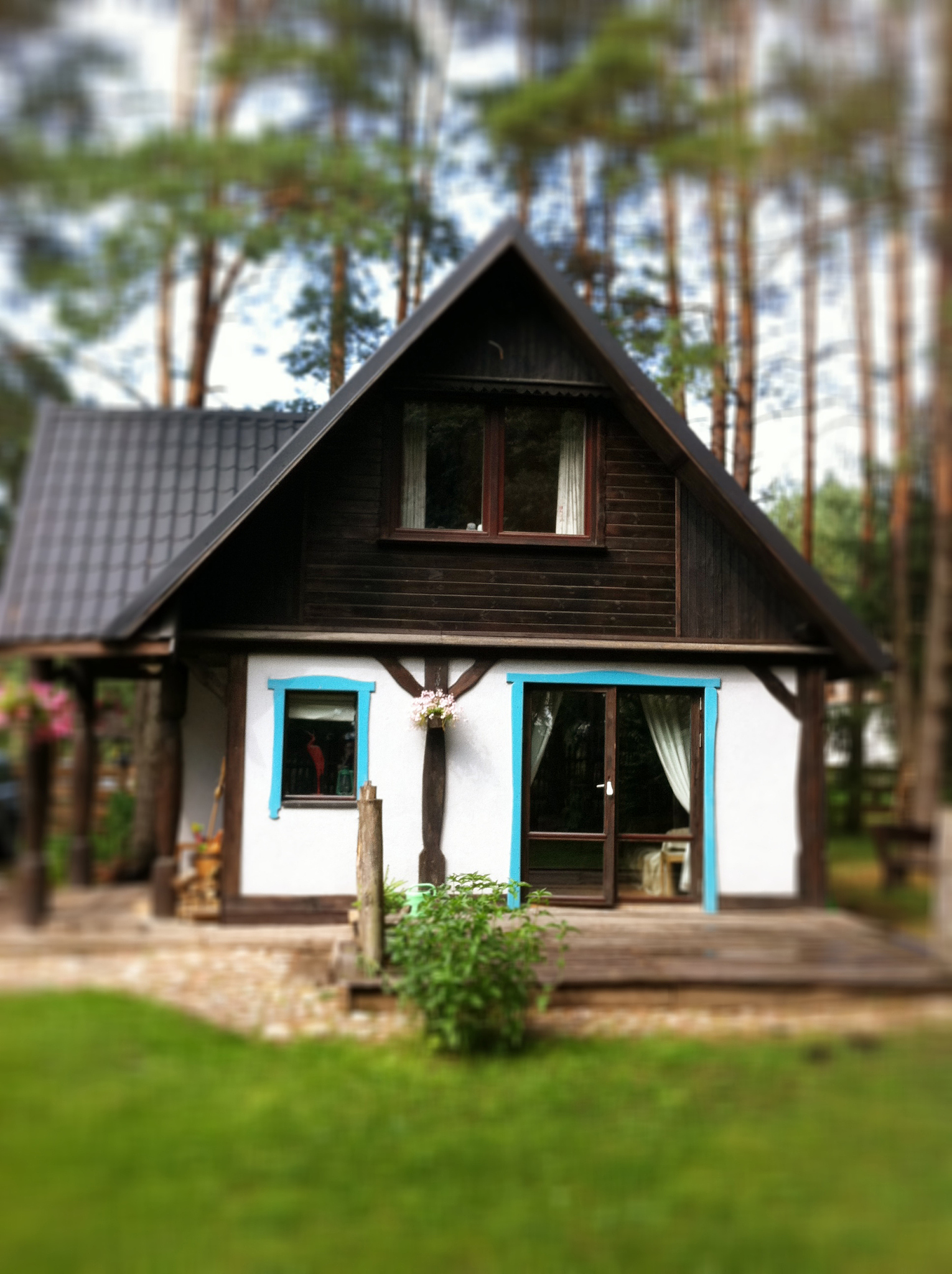 寻找僻静小屋:塞西莉亚的新家 寻找僻静小屋:塞西莉亚的新家