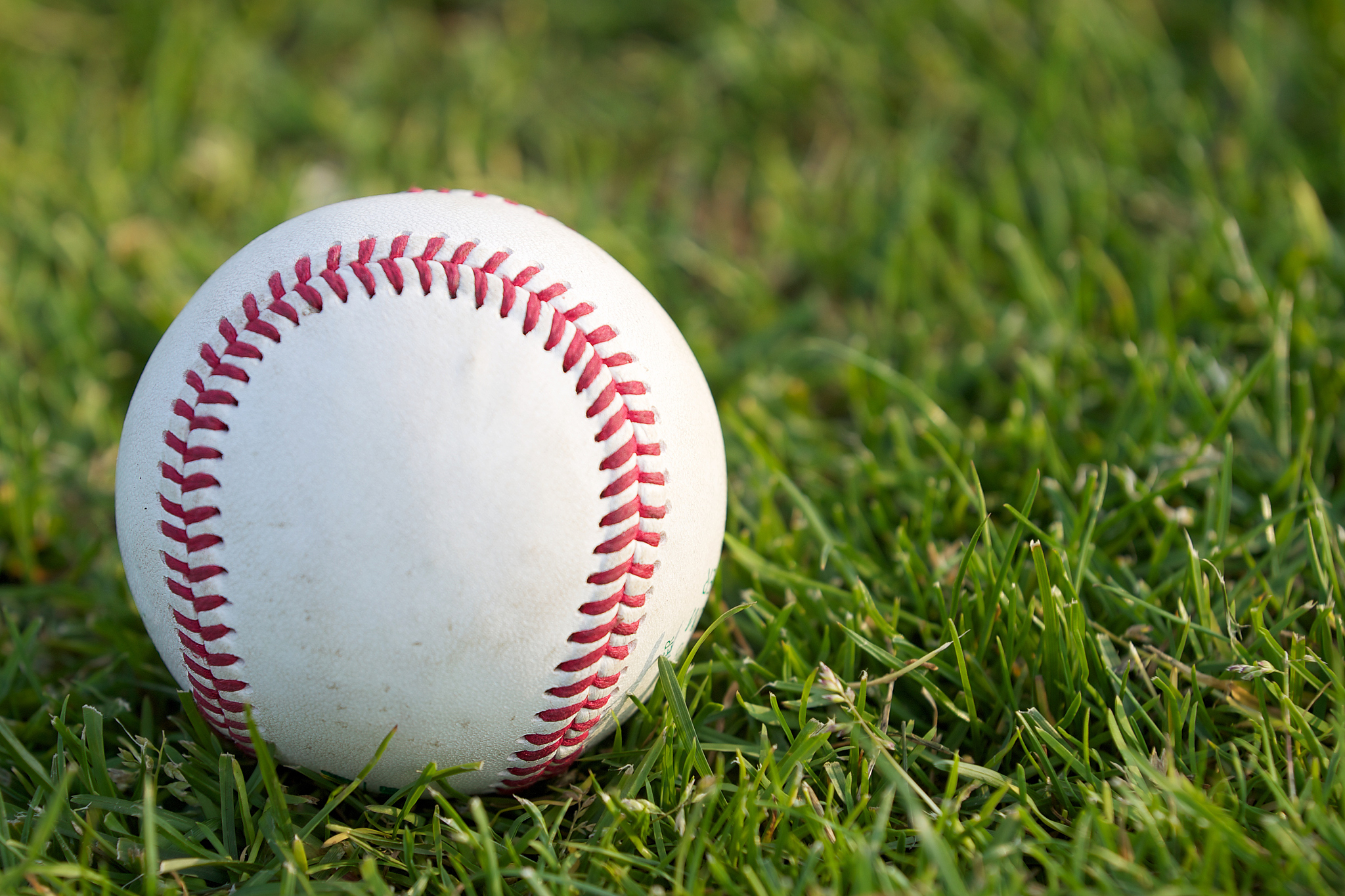 baseball on the grass