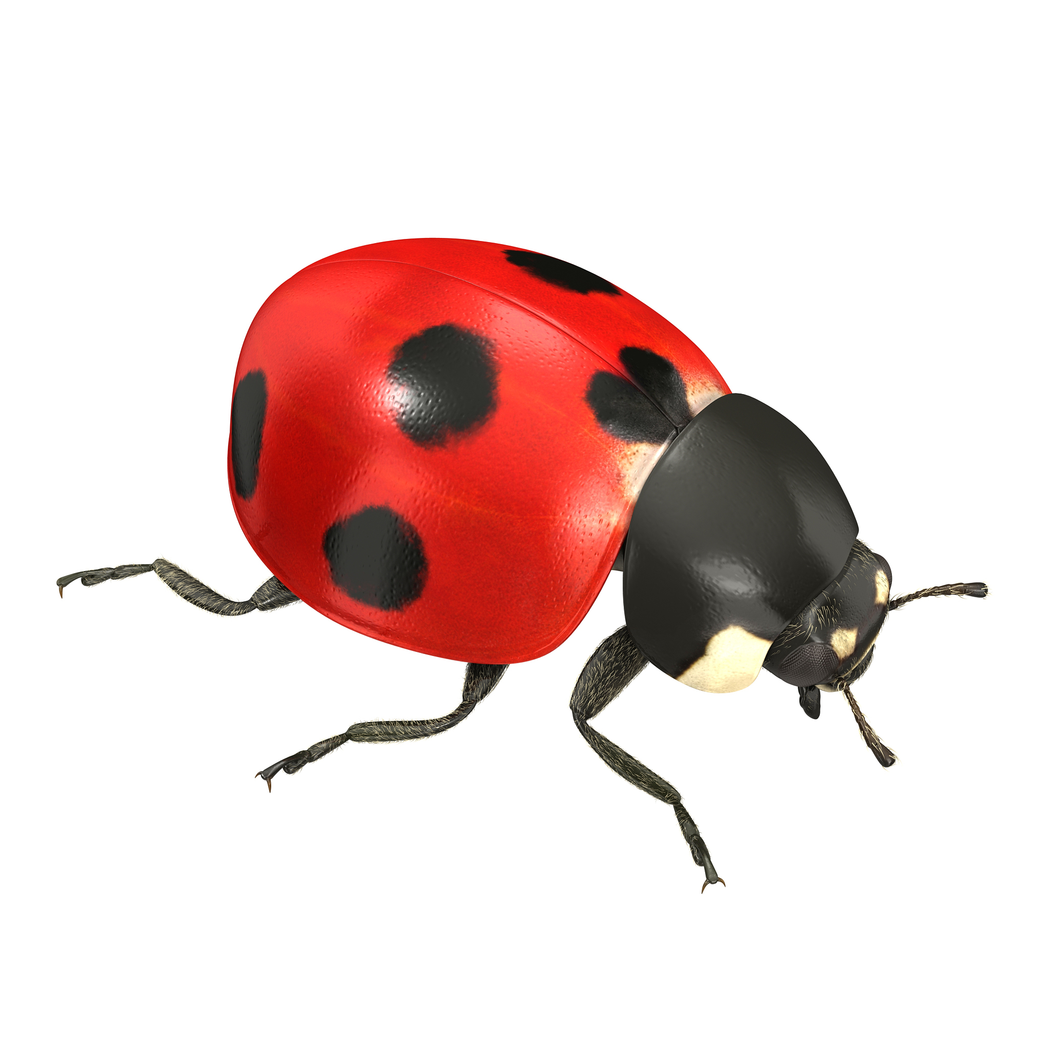 人气大战3D手游更新：新角色、地图、模式、优化和更多！