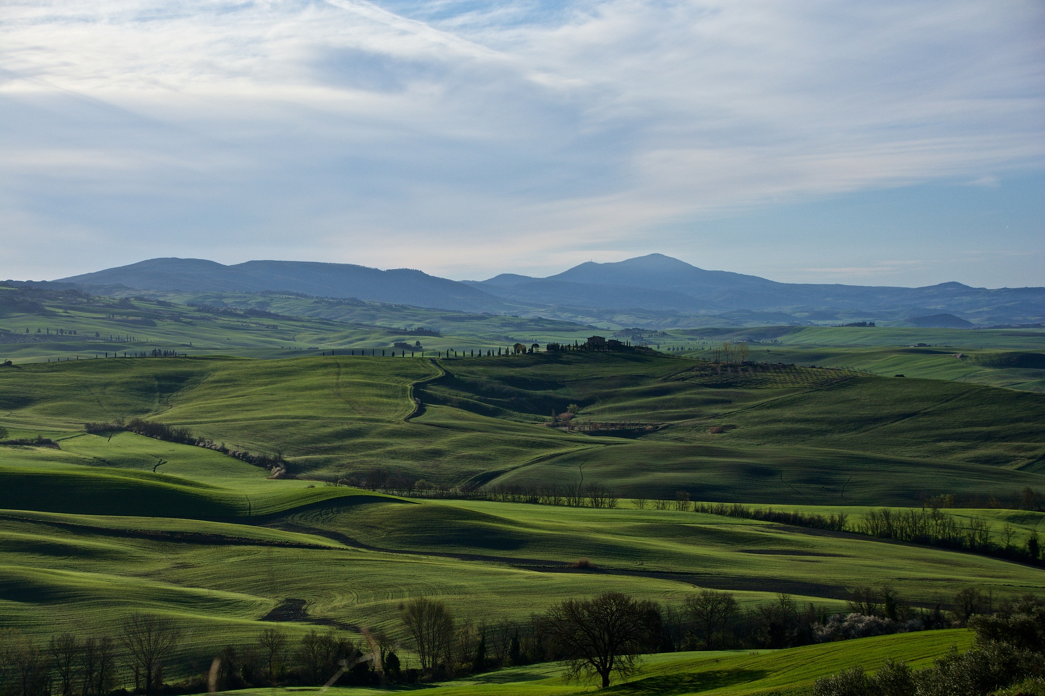 landscape in val d'orcia