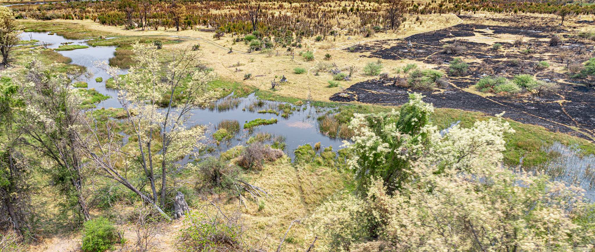 helicopter safari at the okavango delta, botswana