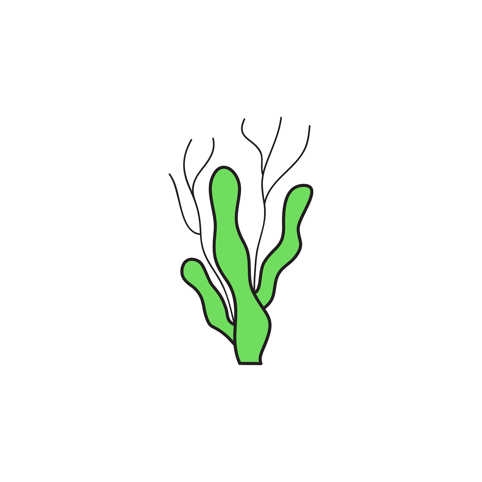 <strong>海草</strong>,矢量,可爱的,背景分离,野生动物,拼缝物,简单,证章,儿童,海底