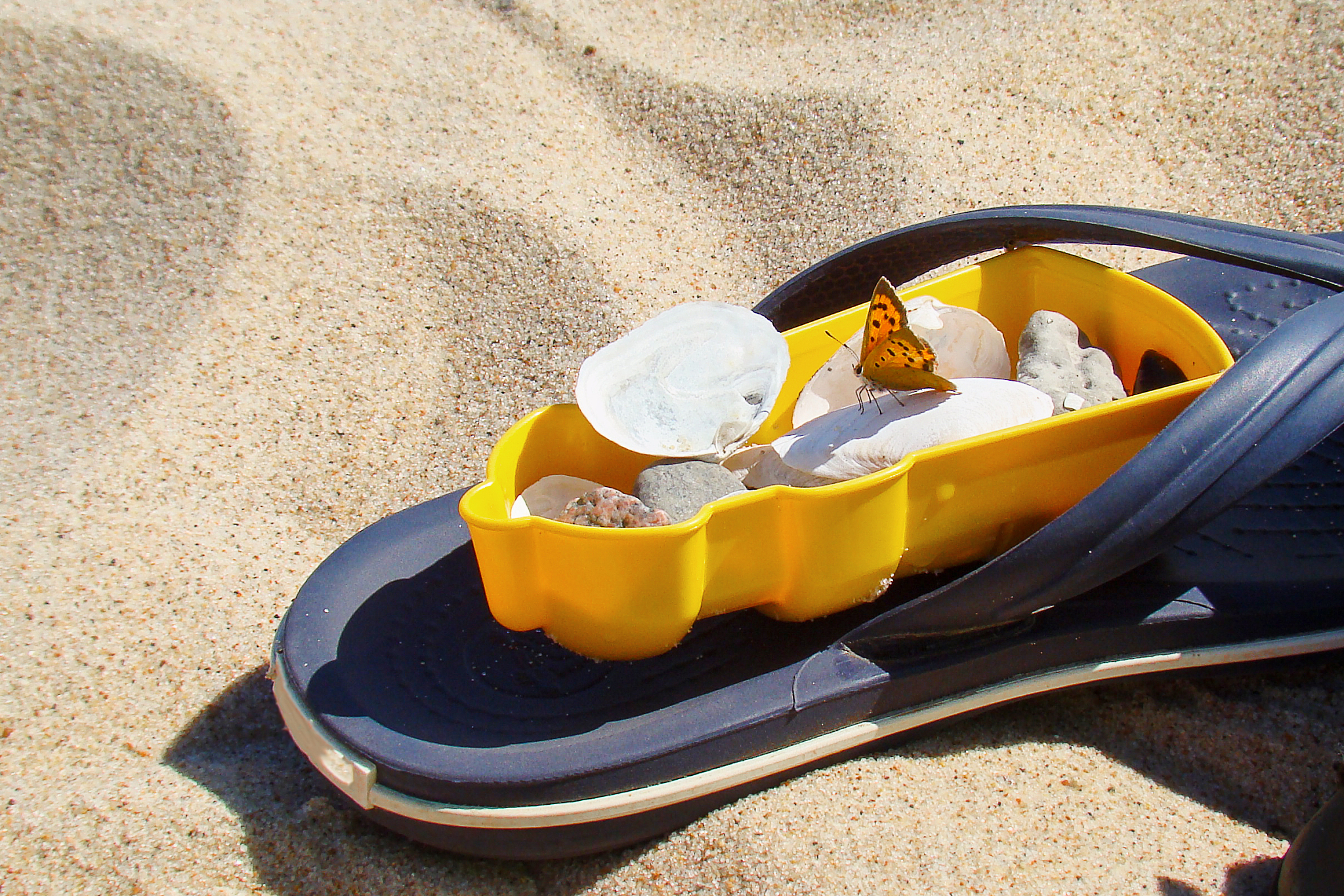 flipflop in the sand with sand mold, shells, stones and butterfl