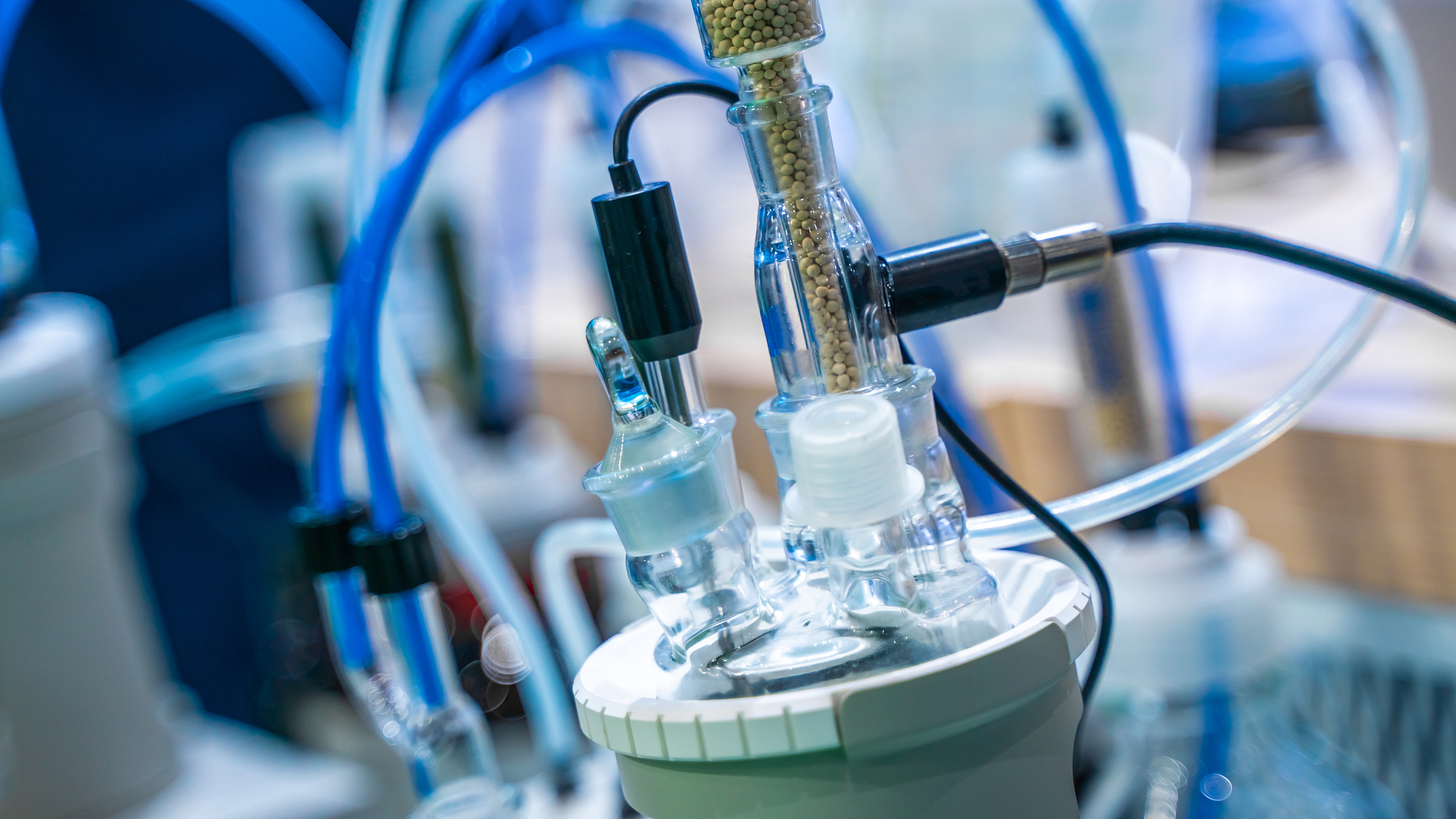 南昌大学科学技术学院生物技术专业怎么样？优势、不足及你需要具备的能力