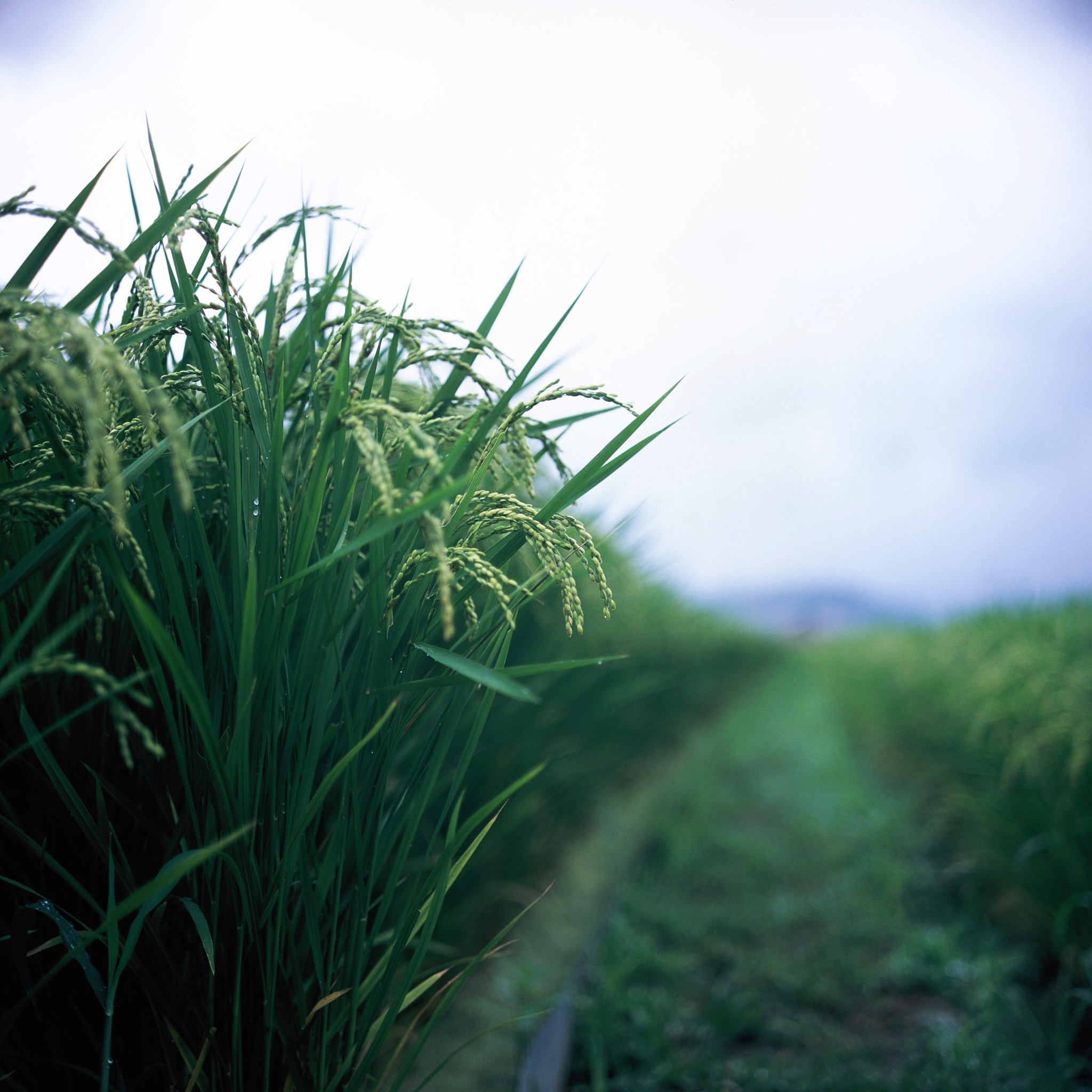 岚山电商学校铁道工程测量好不好？有什么招生要求