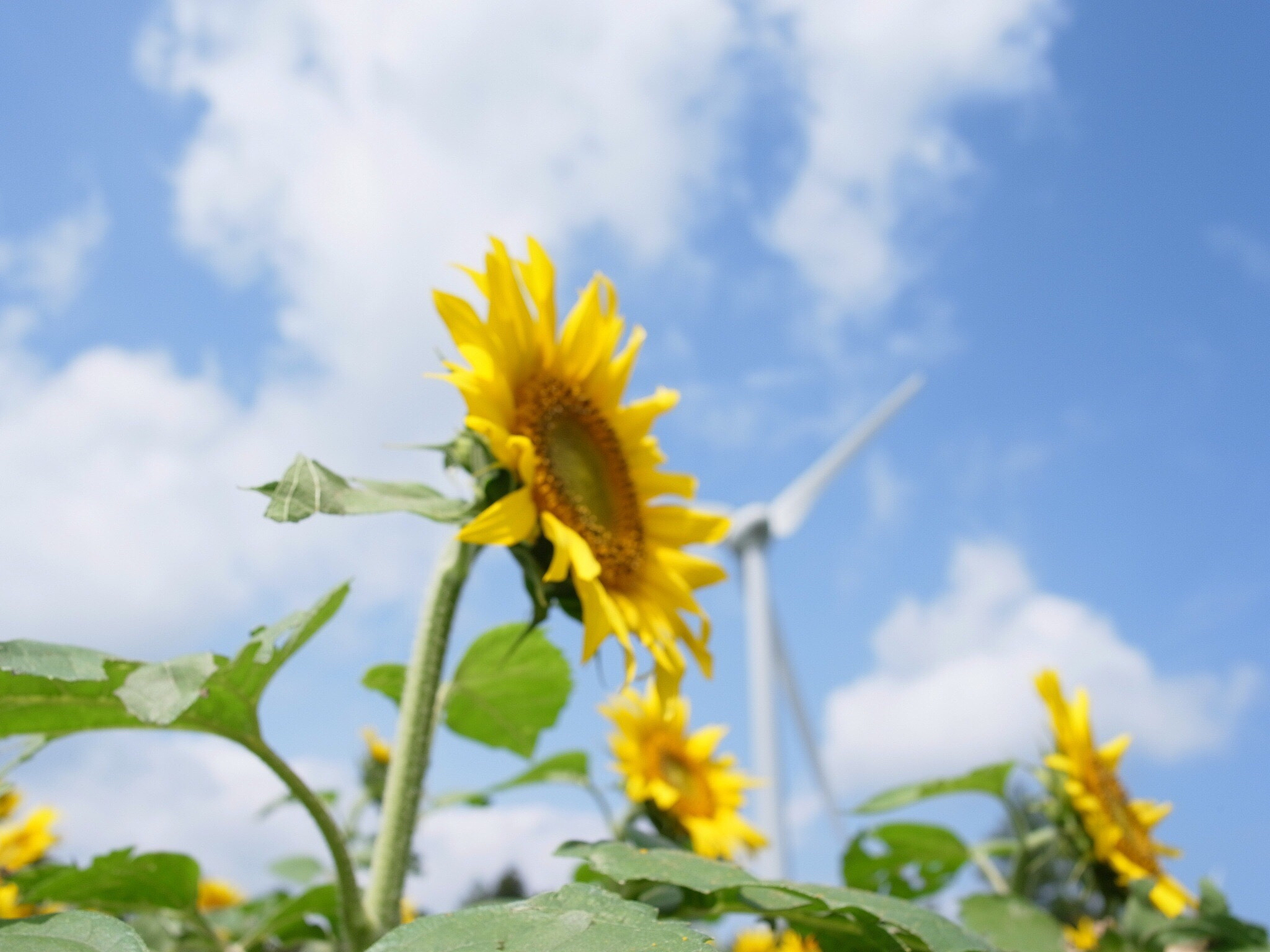 开心一刻：有什么事让你开心？
