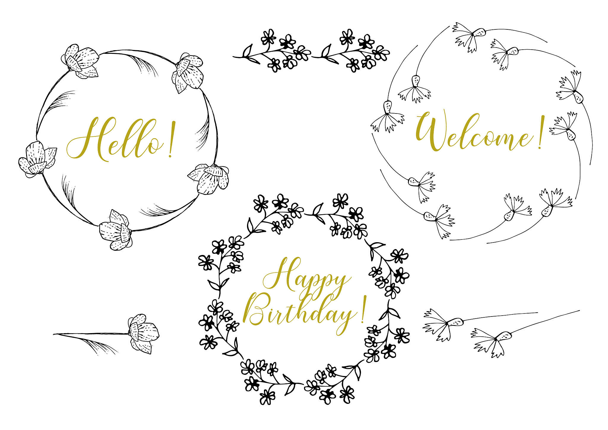 真核生物和原核生物的起源及分支