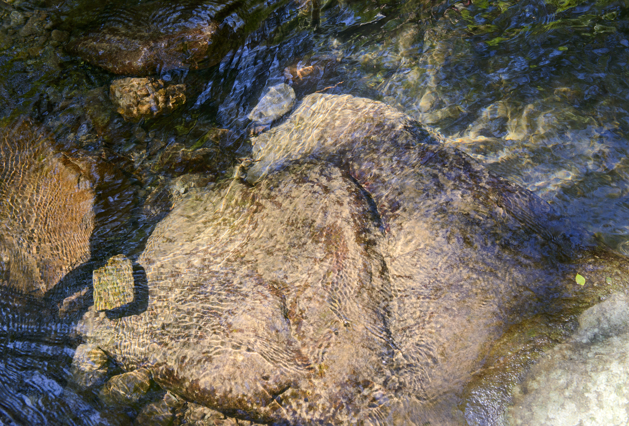texture of transparent water and pebbles