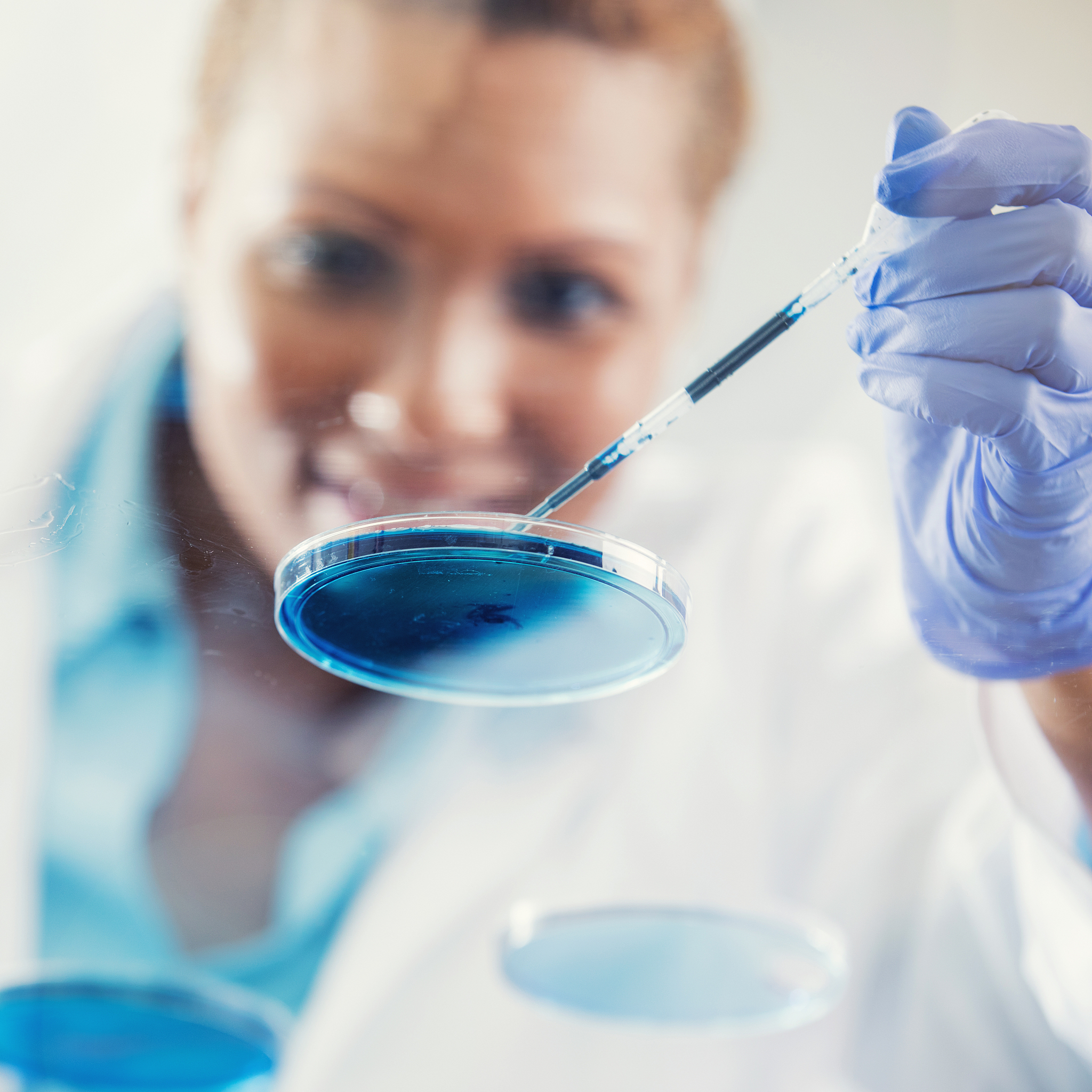 探究非生物因素对植物生长的影响：实验设计与步骤