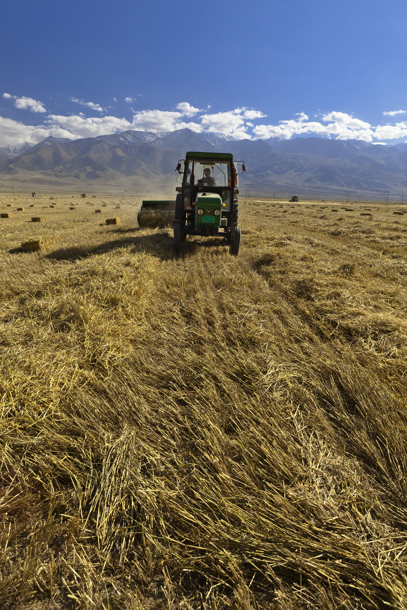 辽宁农业职业技术学院设施农业技术专业：课程设置及发展前景