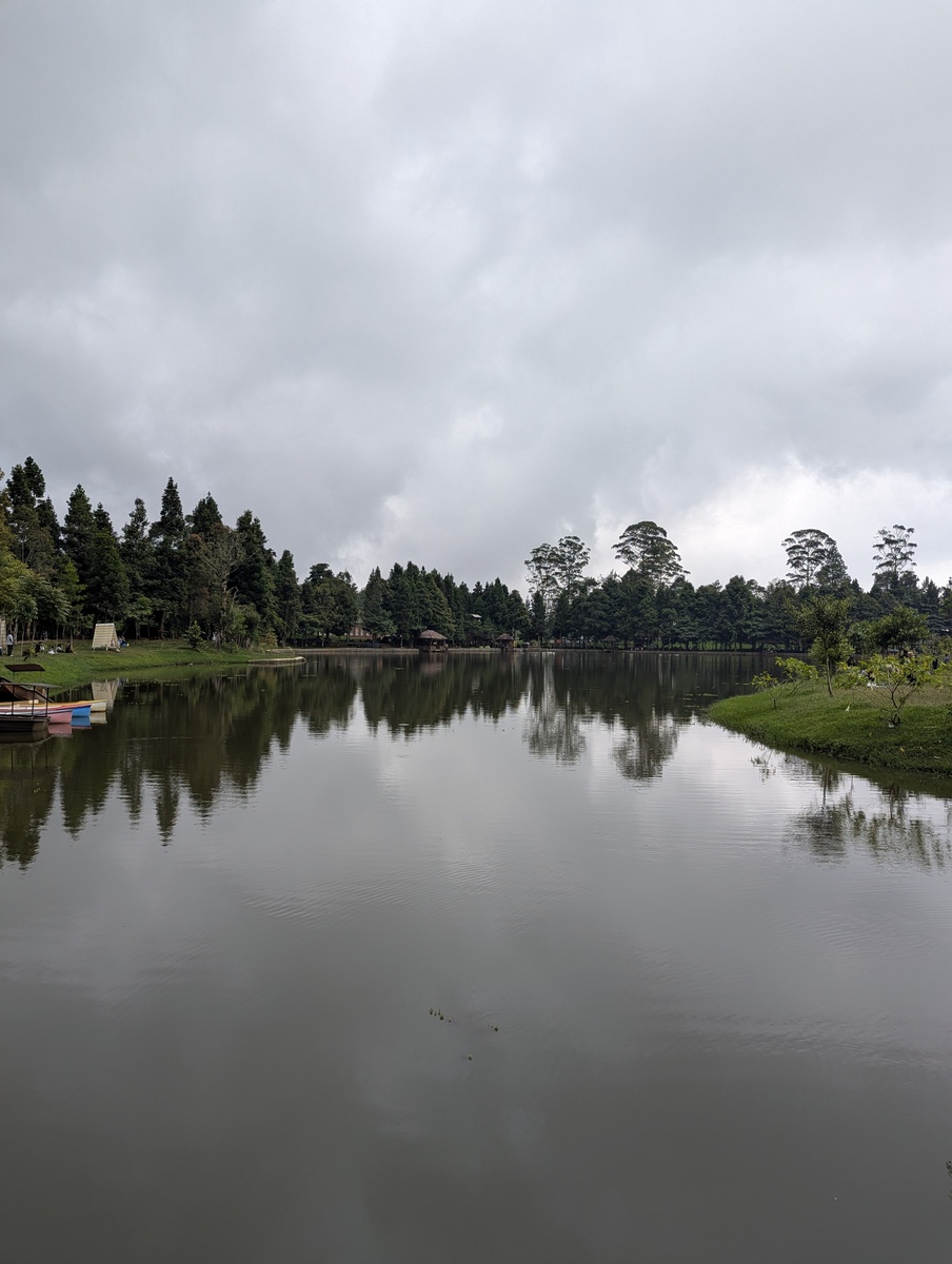 深圳东湖公园钓鱼区关闭原因：生态、安全、秩序、规划