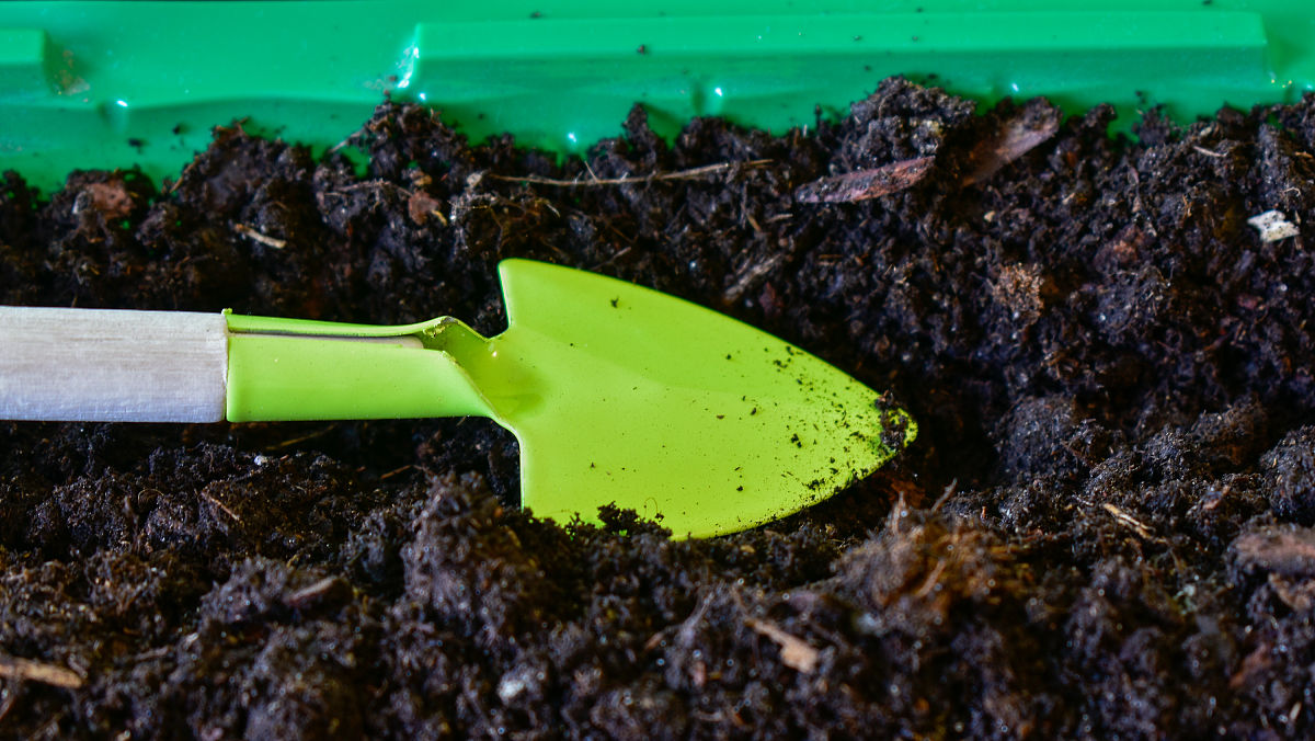 绍兴园艺学校怎么样？教学质量如何？