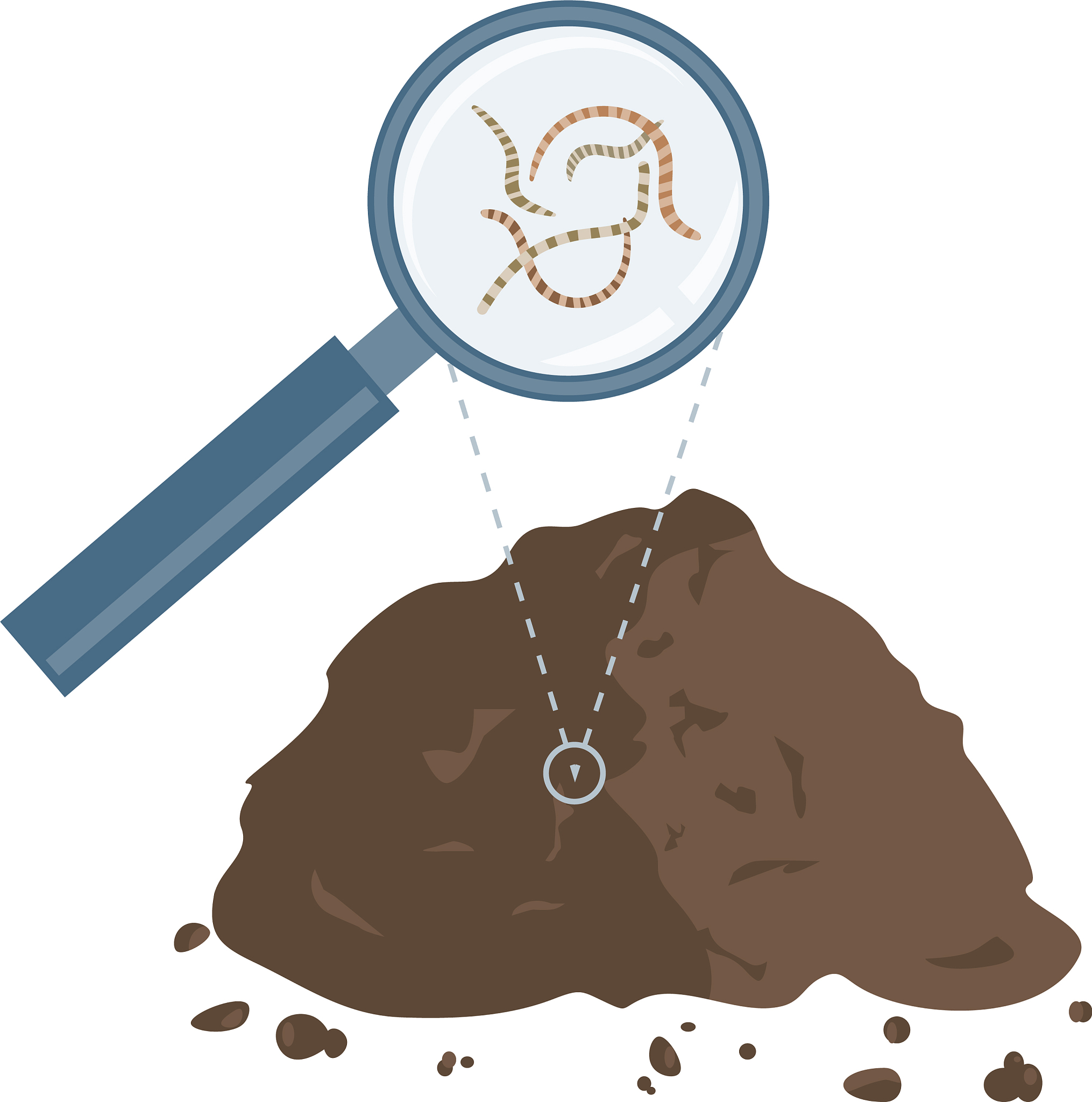 小学生探究植物种类对蚯蚓多样性的影响：项目式学习设计