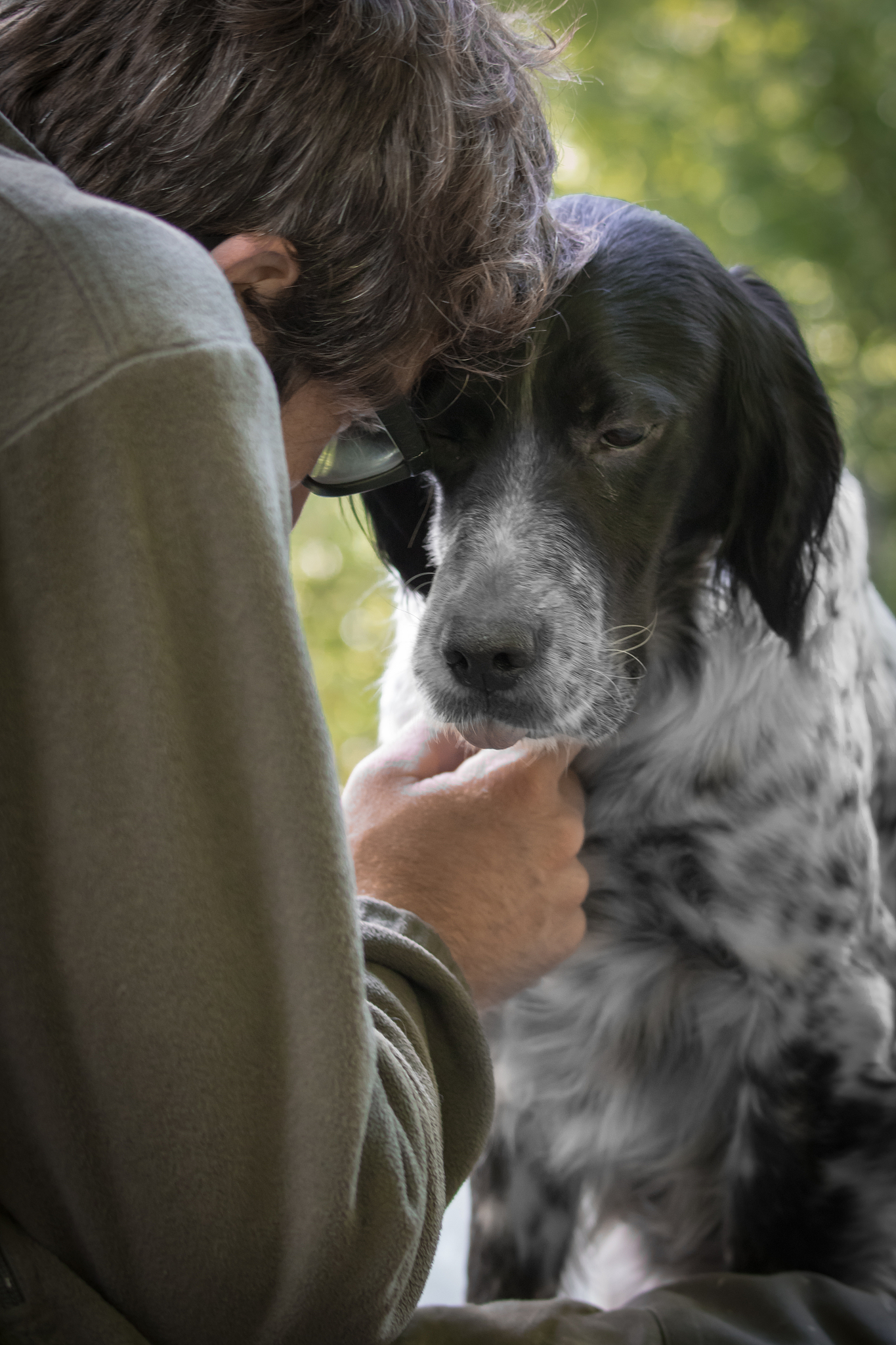 已男人和狗之间的爱情是伟大的爱情为题目写5000字作文