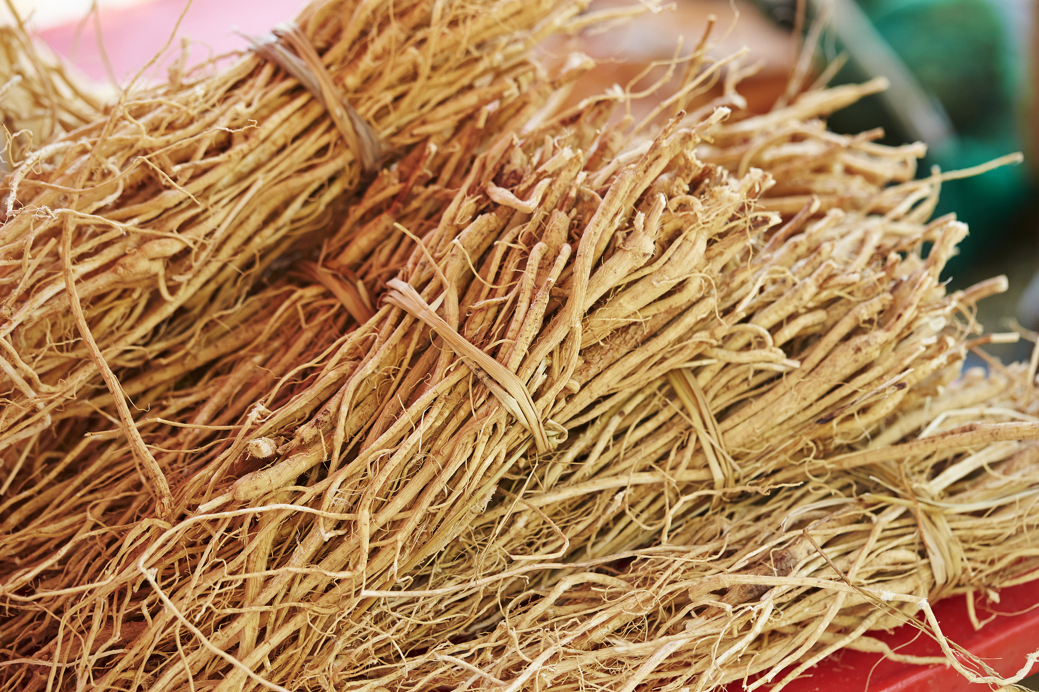 重庆三峡医药高专中医学专业招生 - 传承中华医学文化