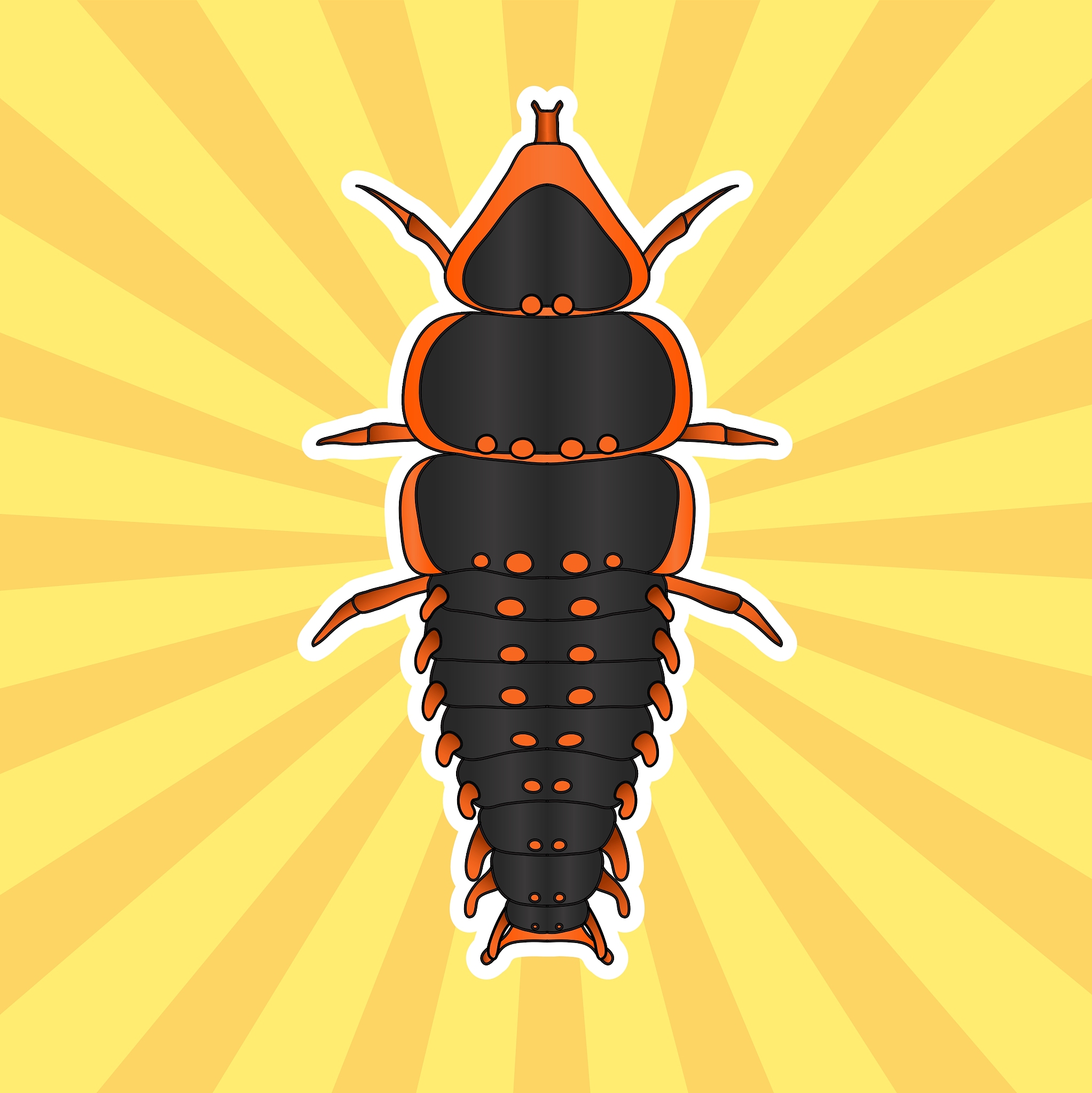 昆虫鉴定参考文献