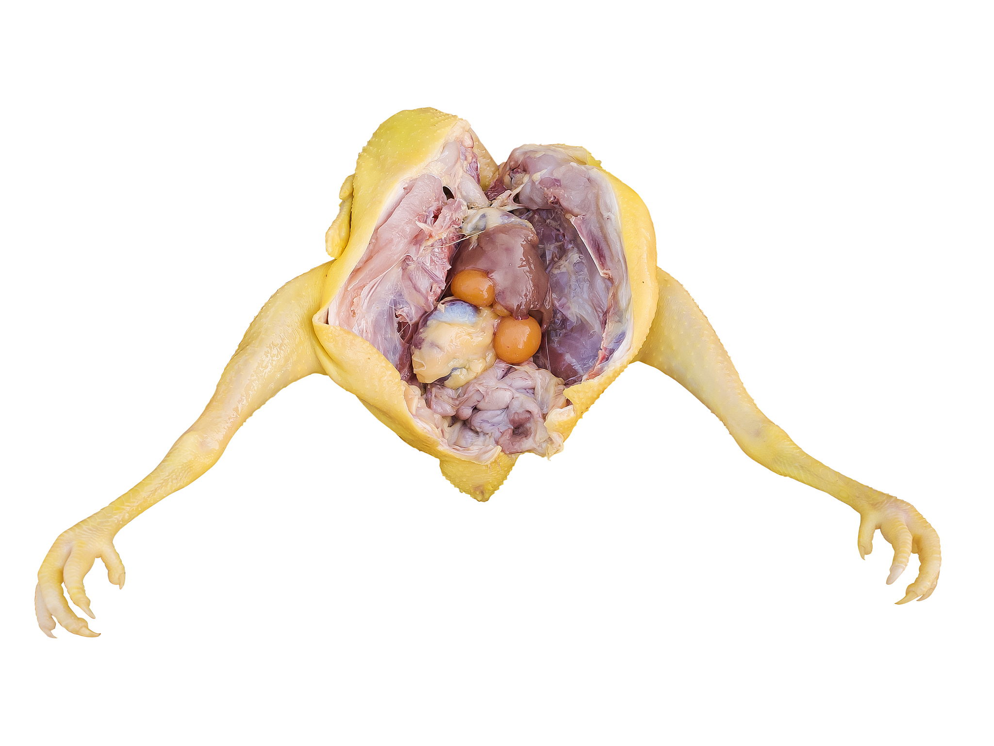 冻藏时间对鸡肉消化特性的影响：研究概述