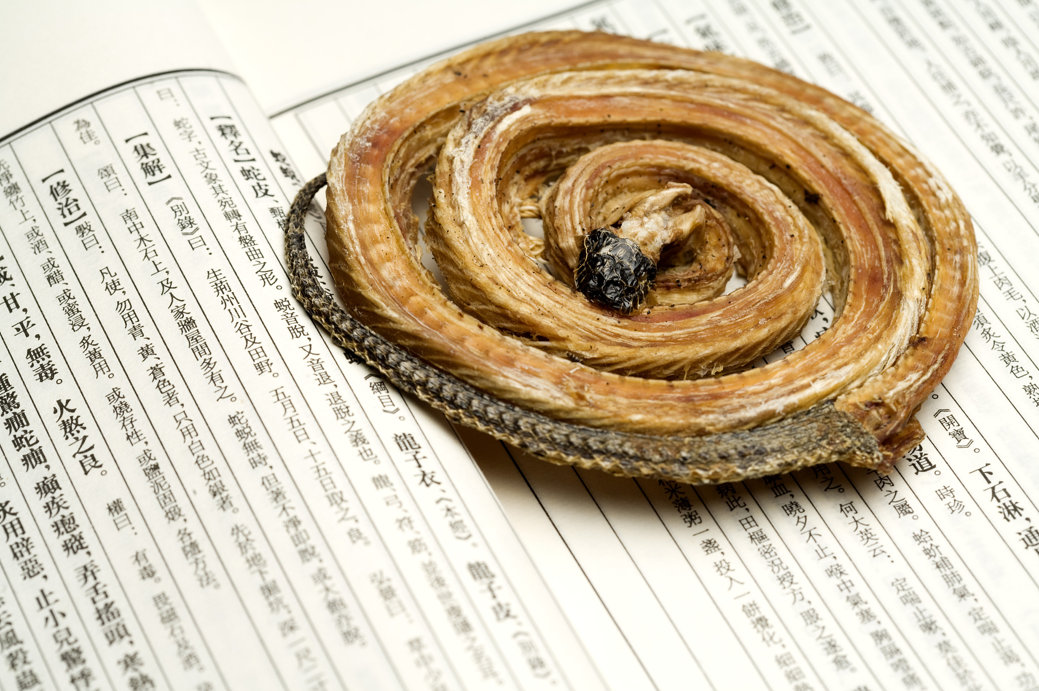 四川中医药高等专科学校临床医学专业招生