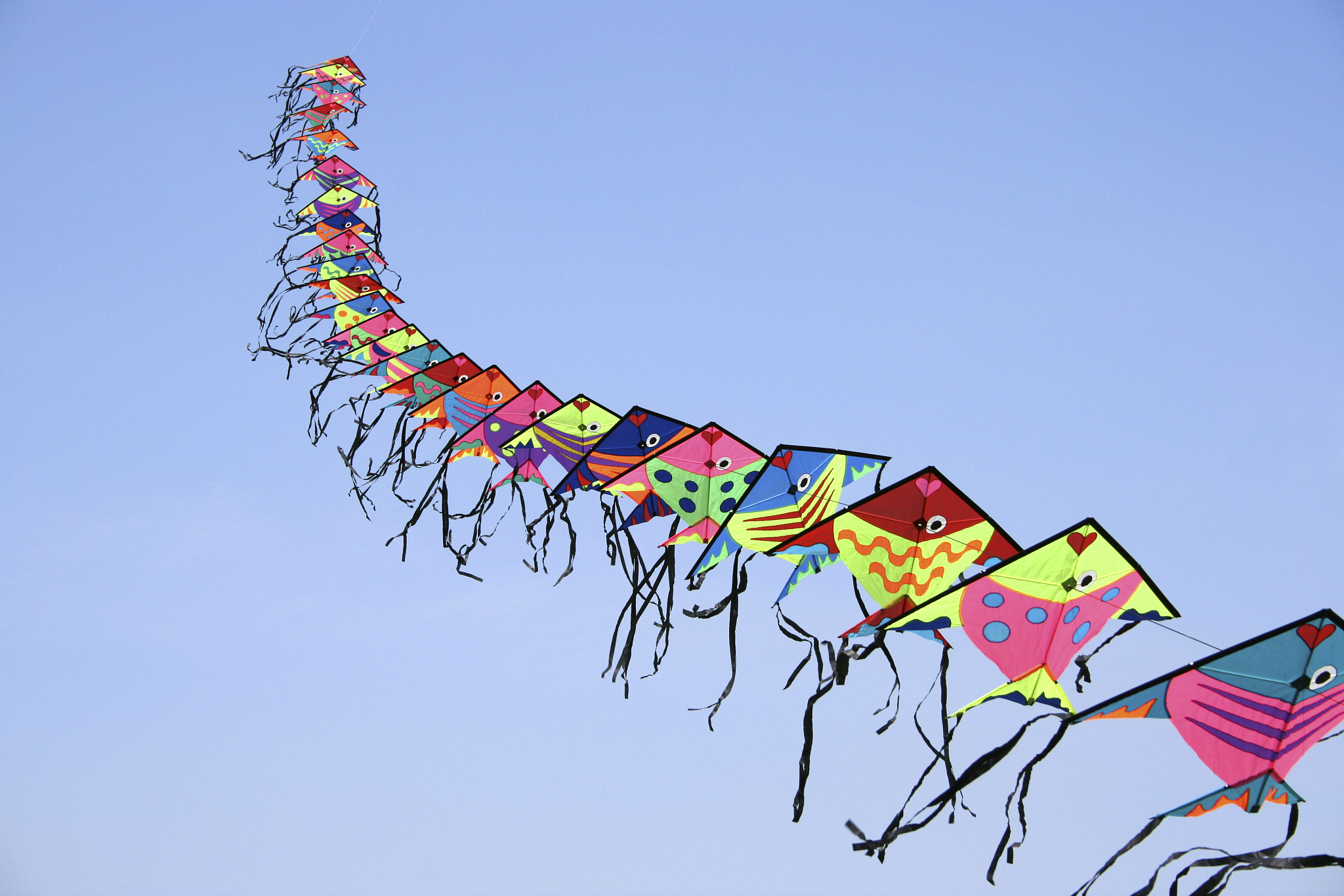 colorful kites