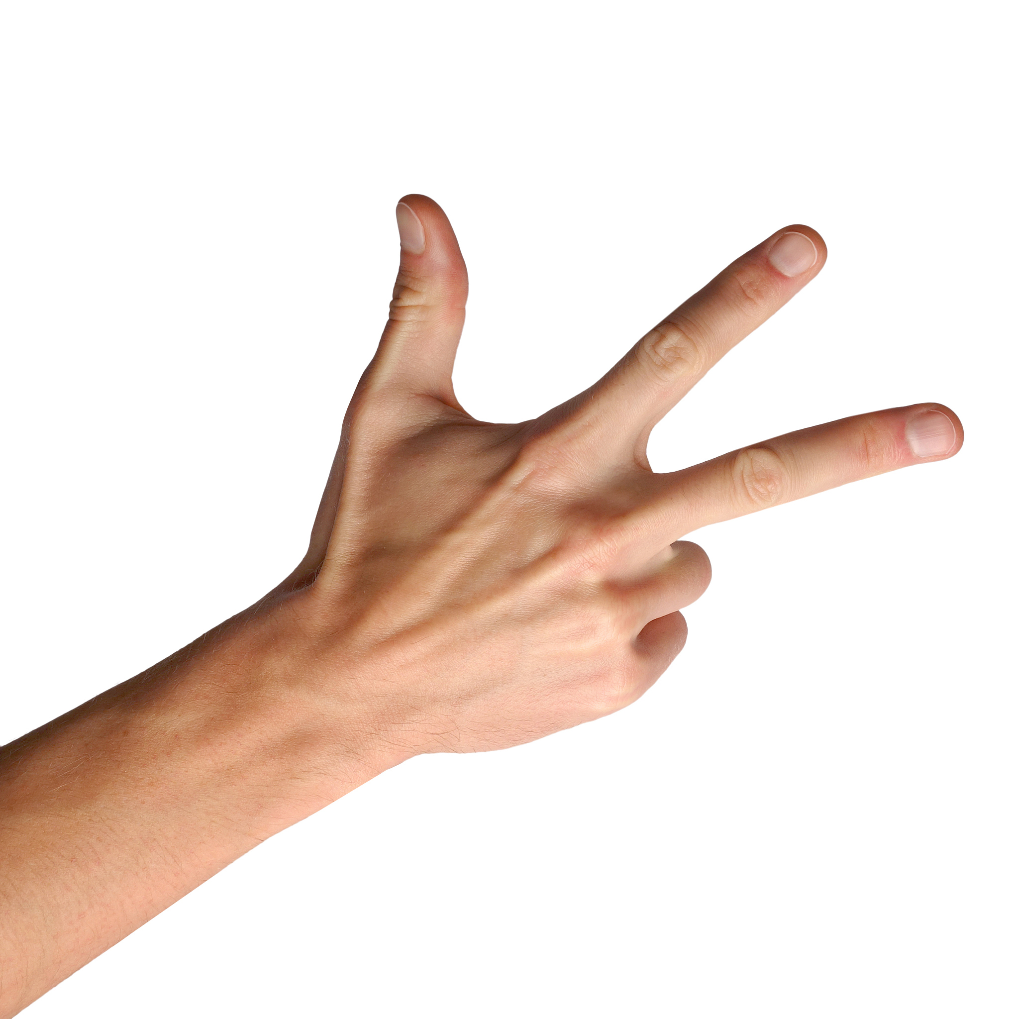 hand gestures on white background